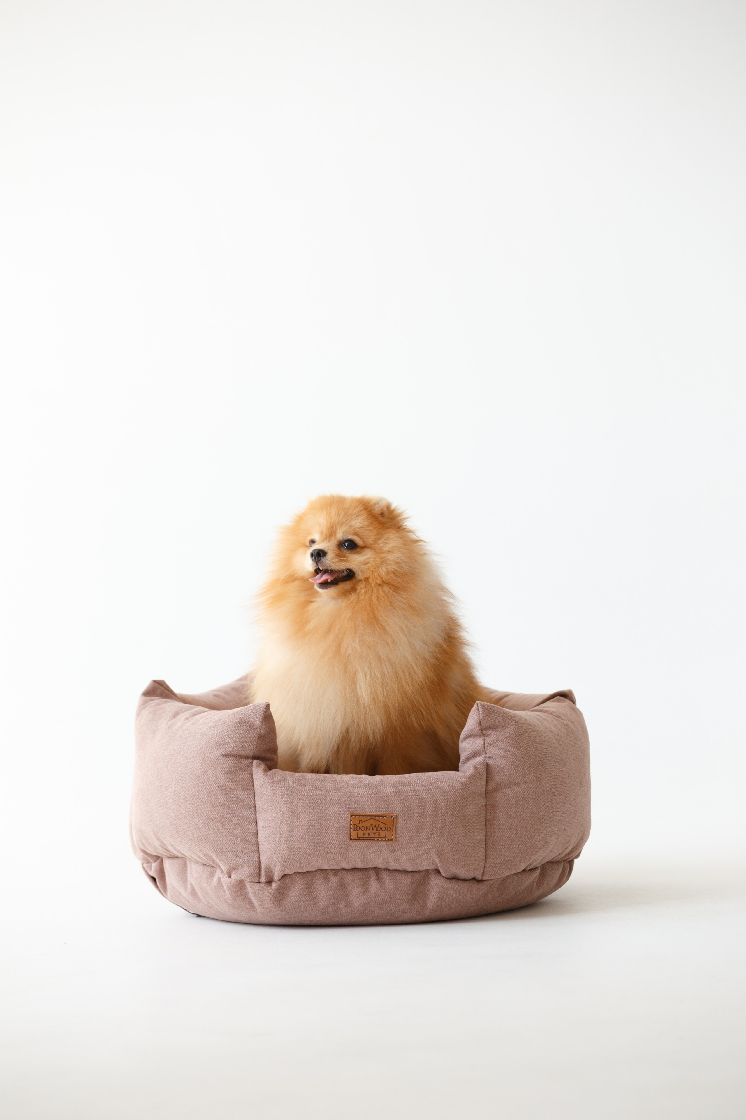 Boonwood Pets лежанки для животных. Фотограф анималист Кристина Карпова, Москва