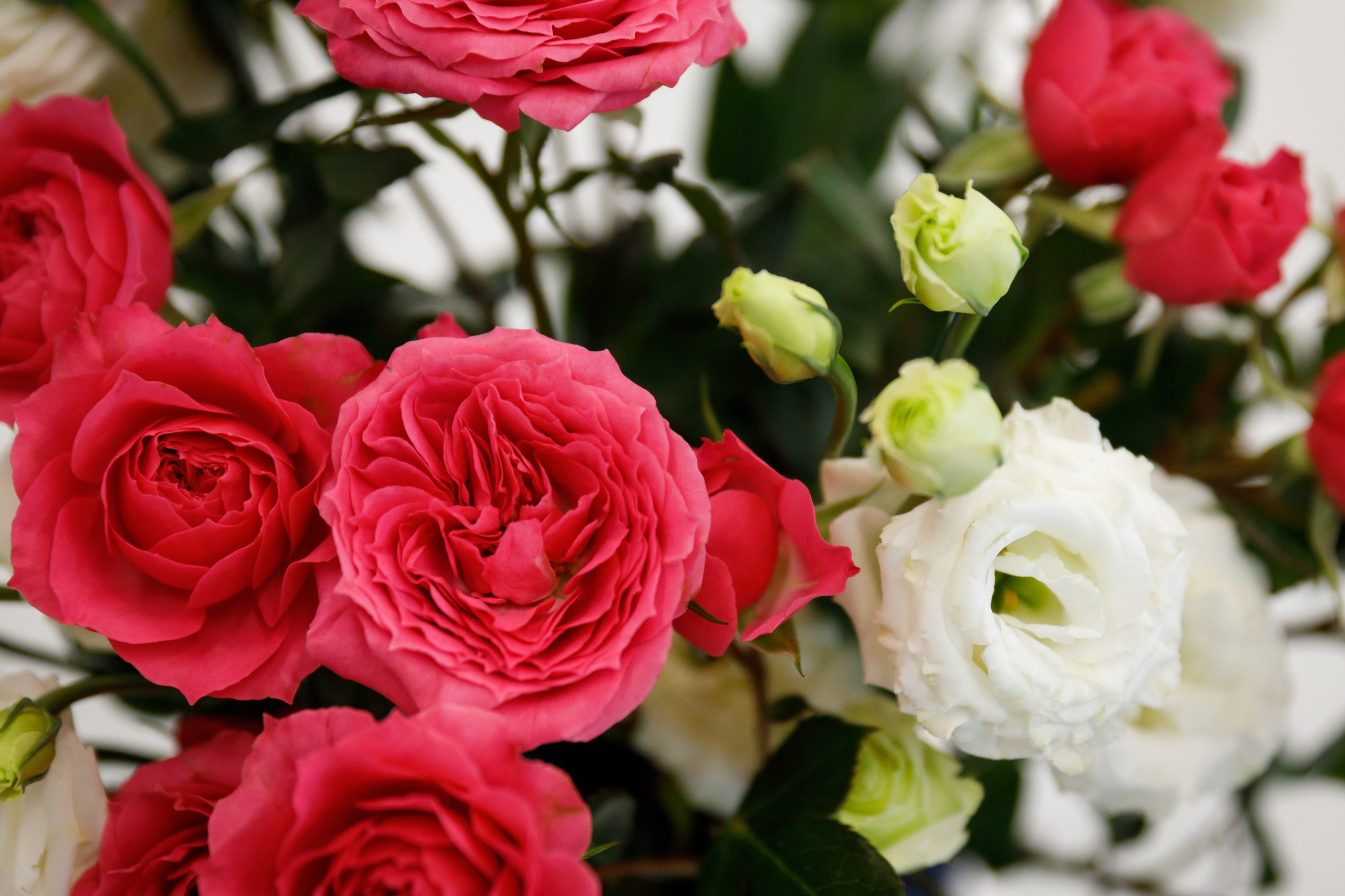 Образовательный проект АГХК «Женщины в деле» в г. Свободном. Фотограф Благовещенск