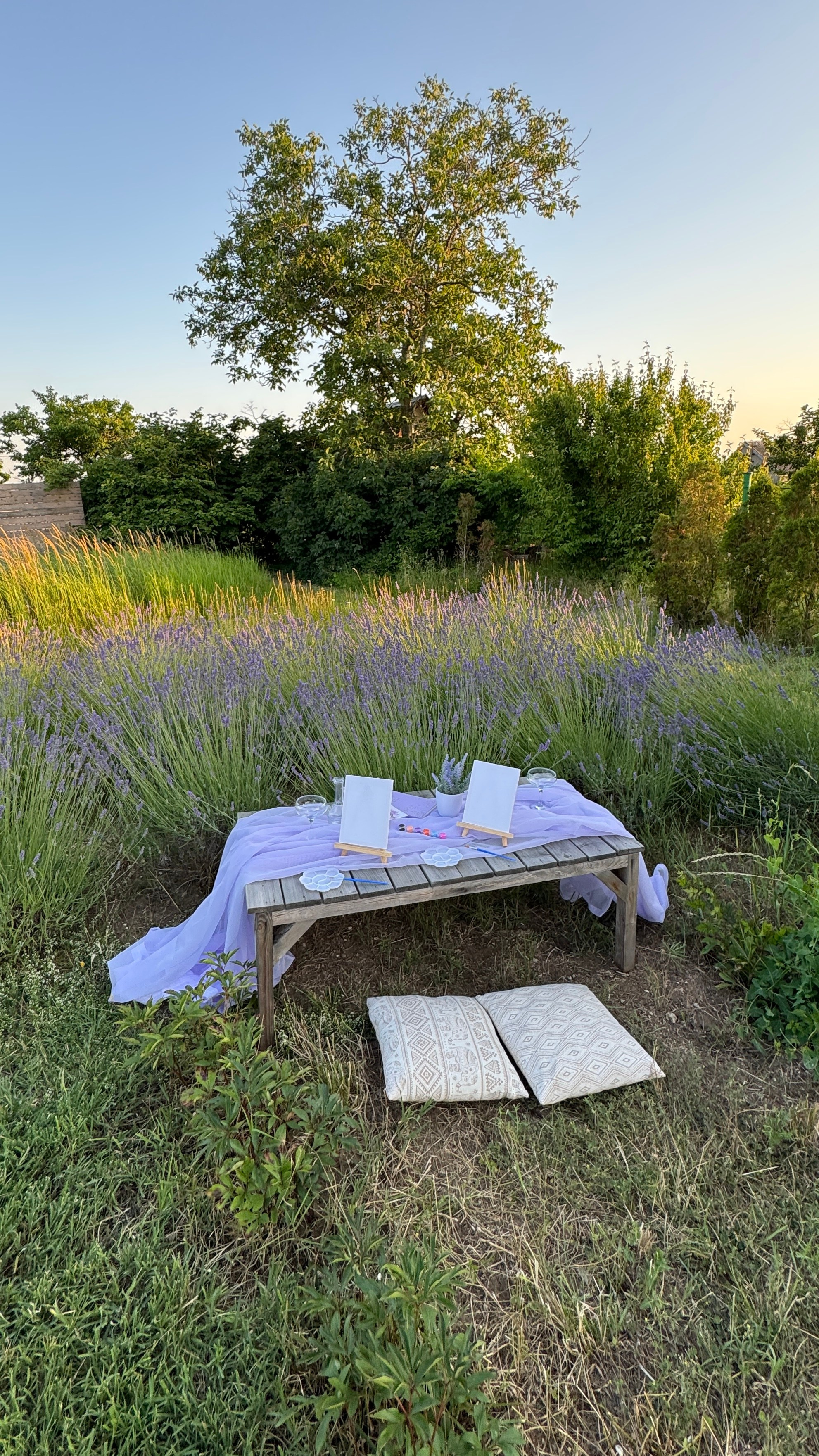 Лаванда. Фотостудия Натальи Забродской