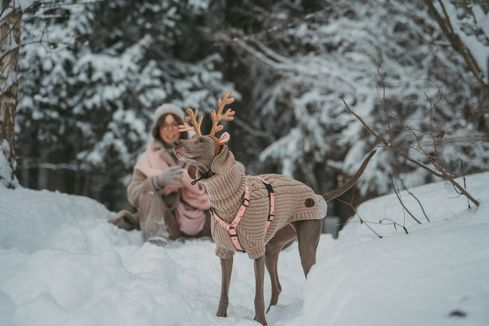 Лена и Фанни. Фотограф анималист в Москве и Санкт-Петербурге Свиридова Анна