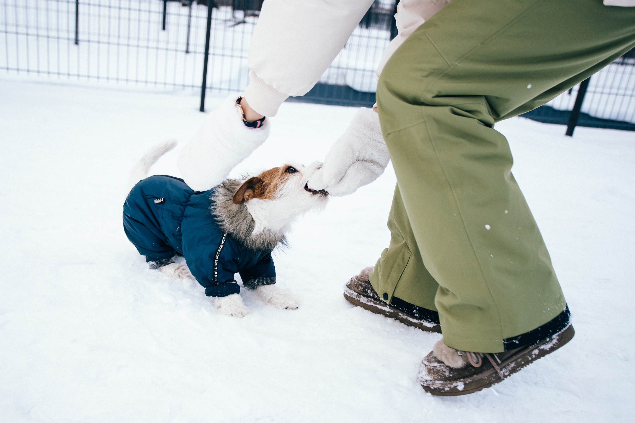 Дарья и Майла. Фотограф Дарья Локотко в Красноярске