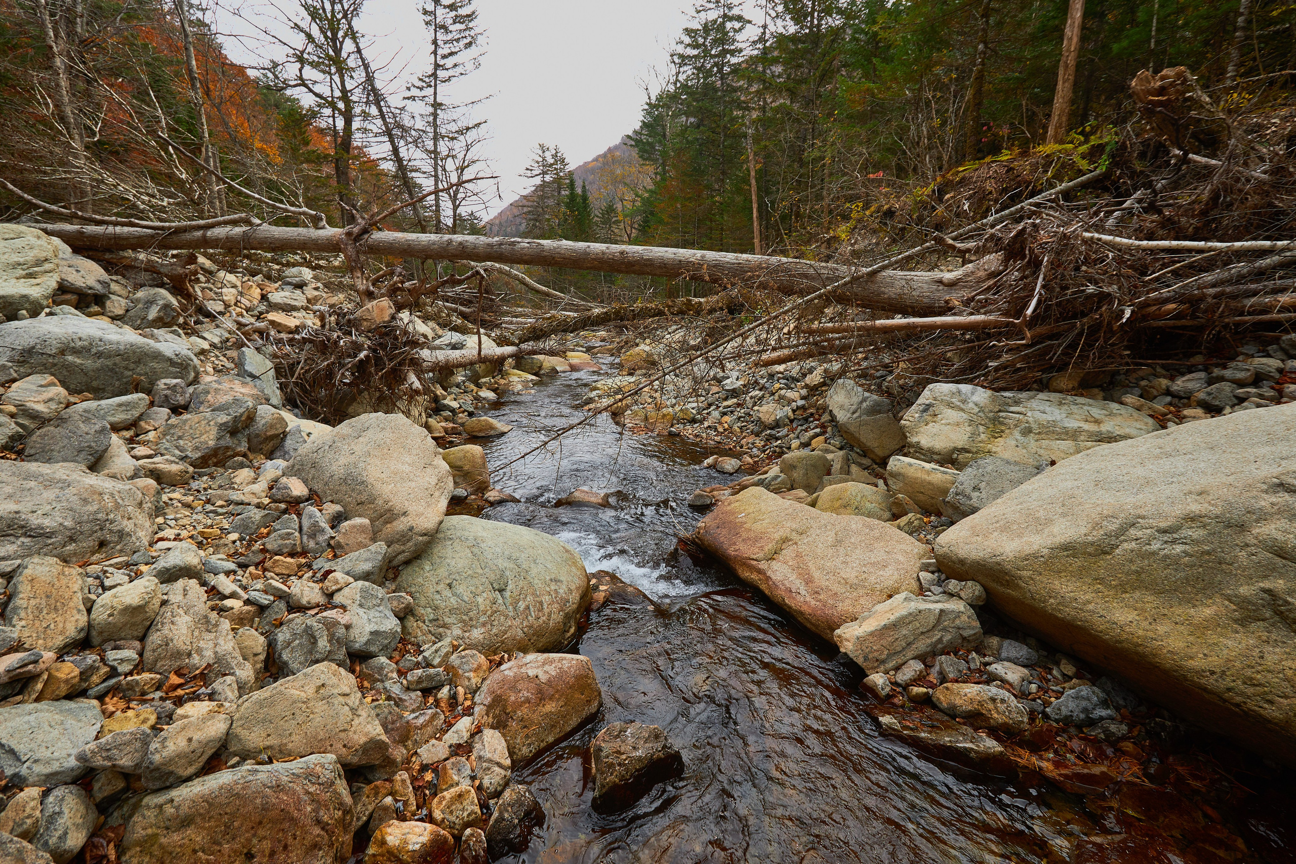 Пейзаж. Репортажный Фотограф во Владивостоке и России Осипчук Дмитрий