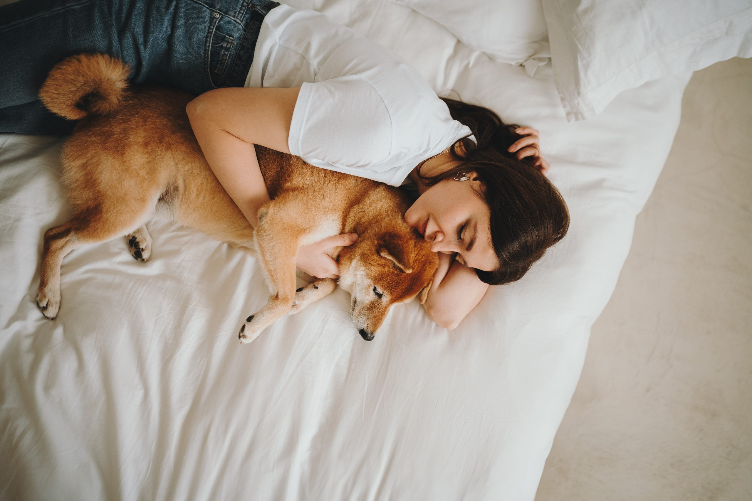 День рождения Кексика. Семейный фотограф анималист Ананьева Мария — Москва