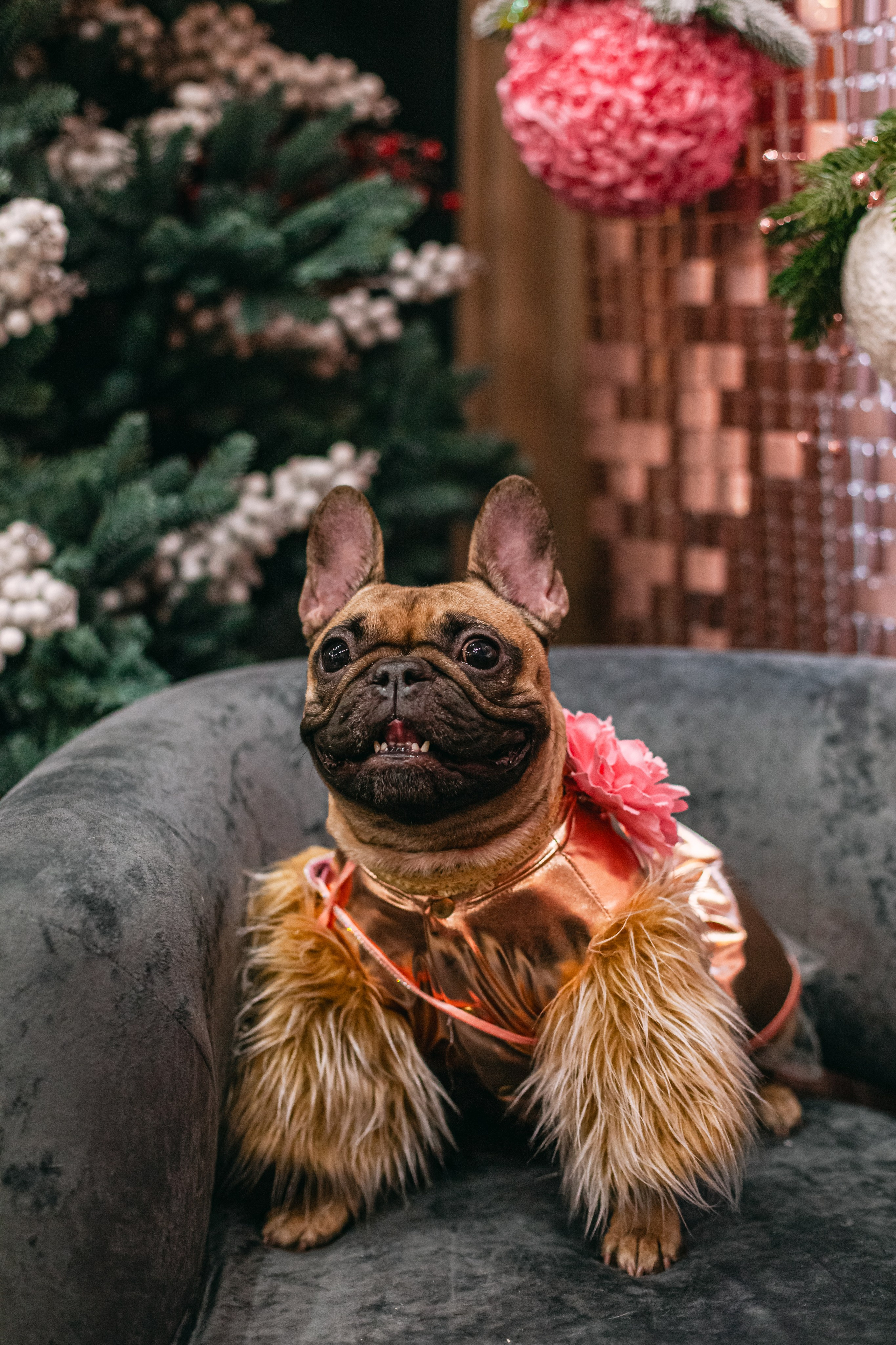 Бульёлка 2024. Фотограф-анималист Татьяна Степанова