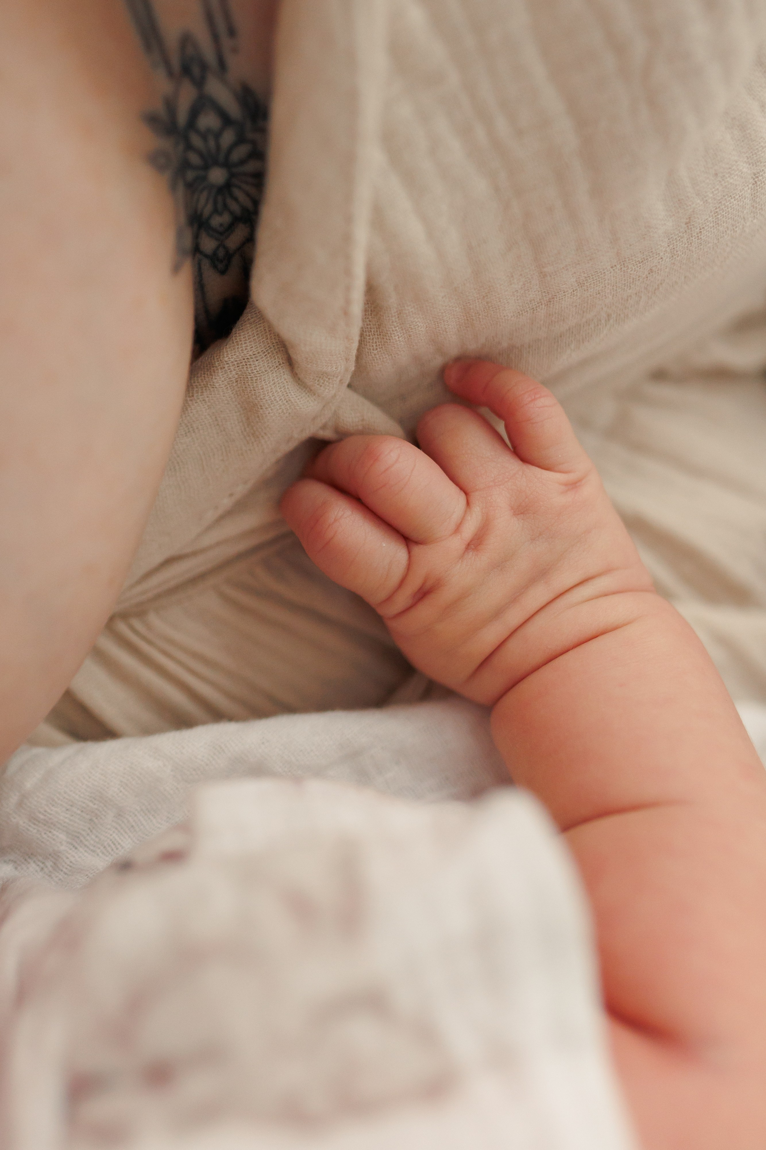 Семейная фотосессия для новорожденного. Фотограф Валерия Горбунова Подольск Бутово Видное Щербинка