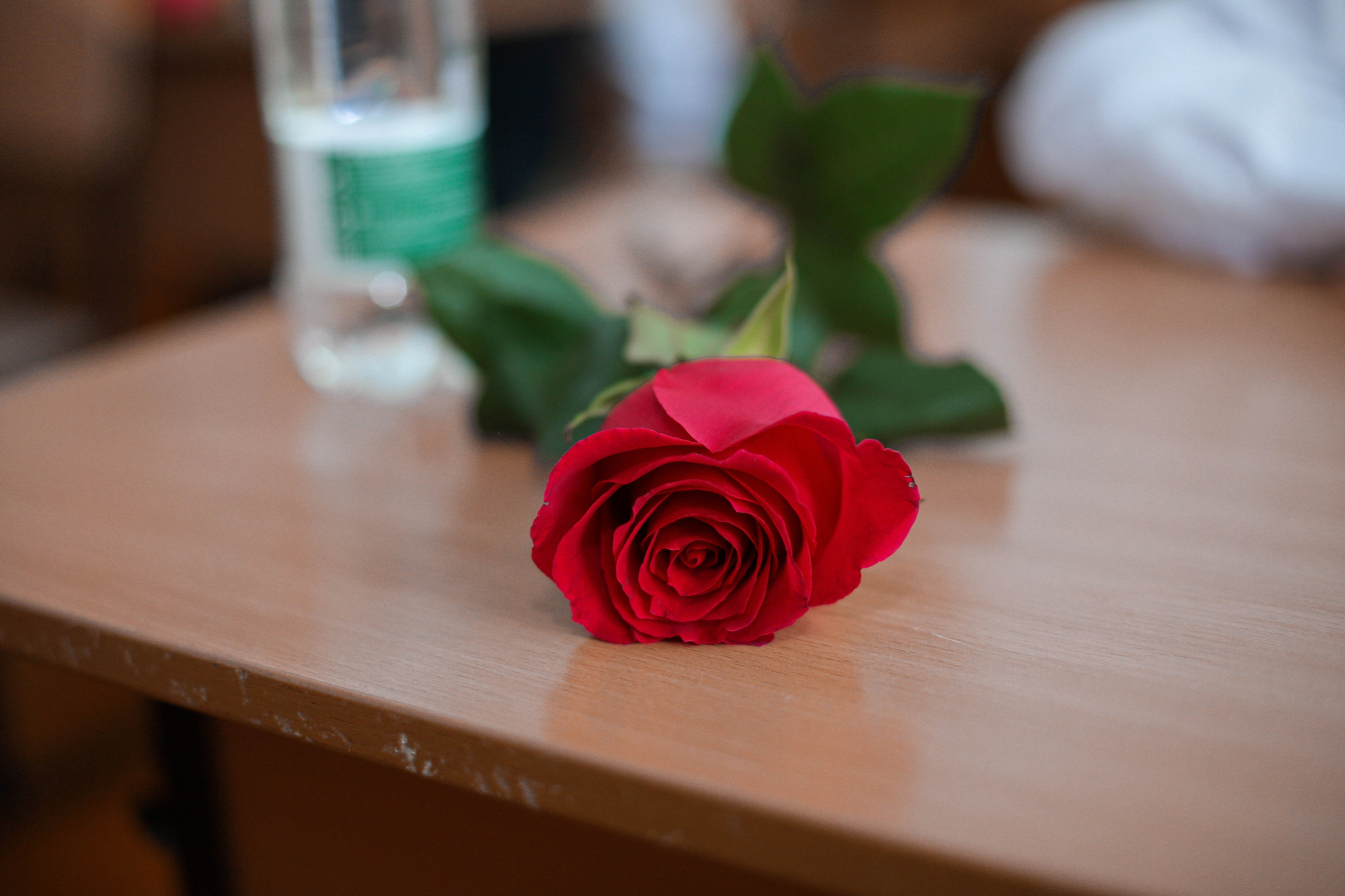 День знаний 2024. Свадебный и Школьный фотограф Улан-Удэ Бурятия Джулия Топоева Выпускные альбомы Фотограф на мероприятие