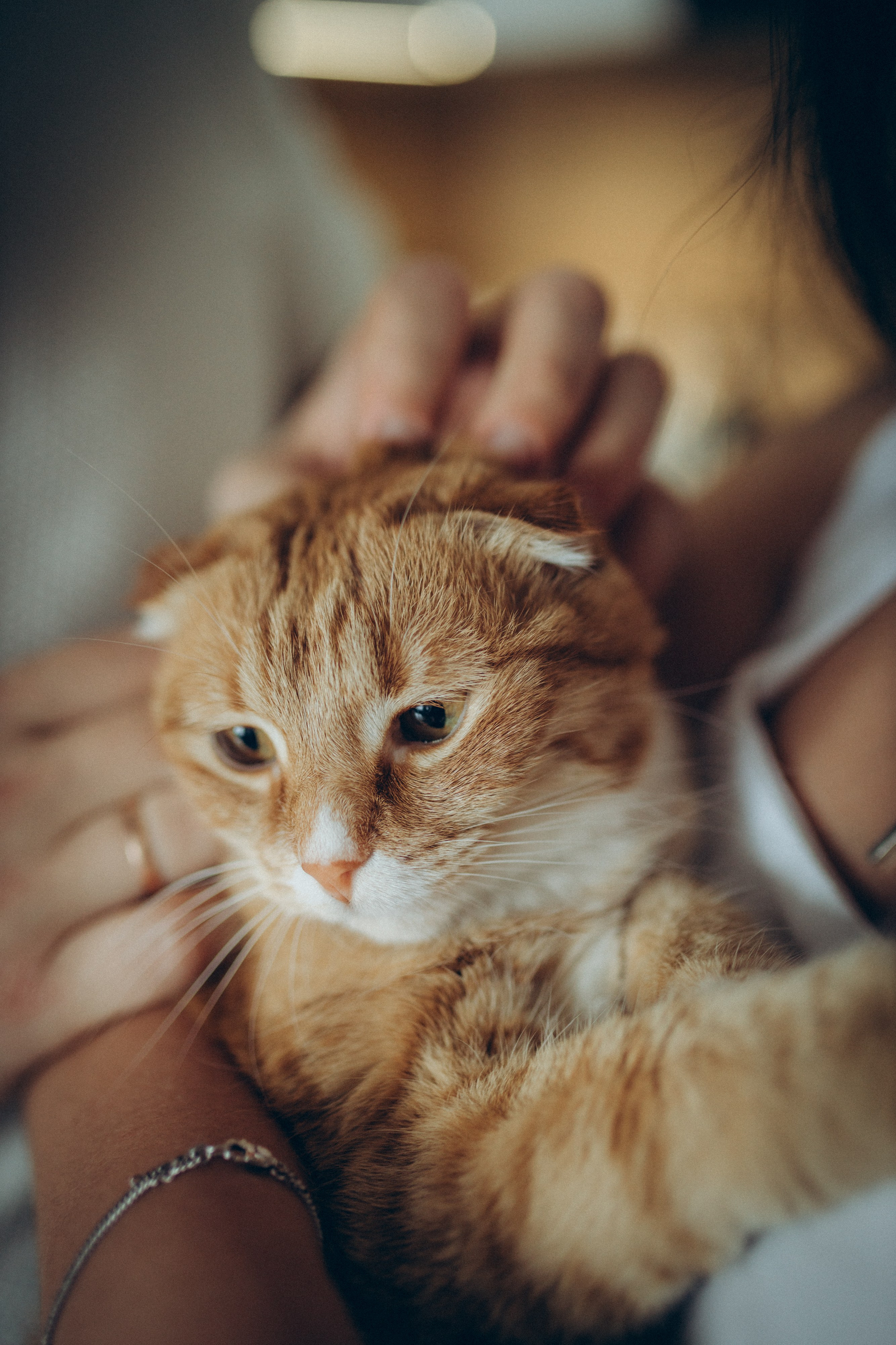 Аня, Кирилл и Ярослав. Семейный фотограф и фотограф на роды в Ростове-на-Дону Мухина Виктория