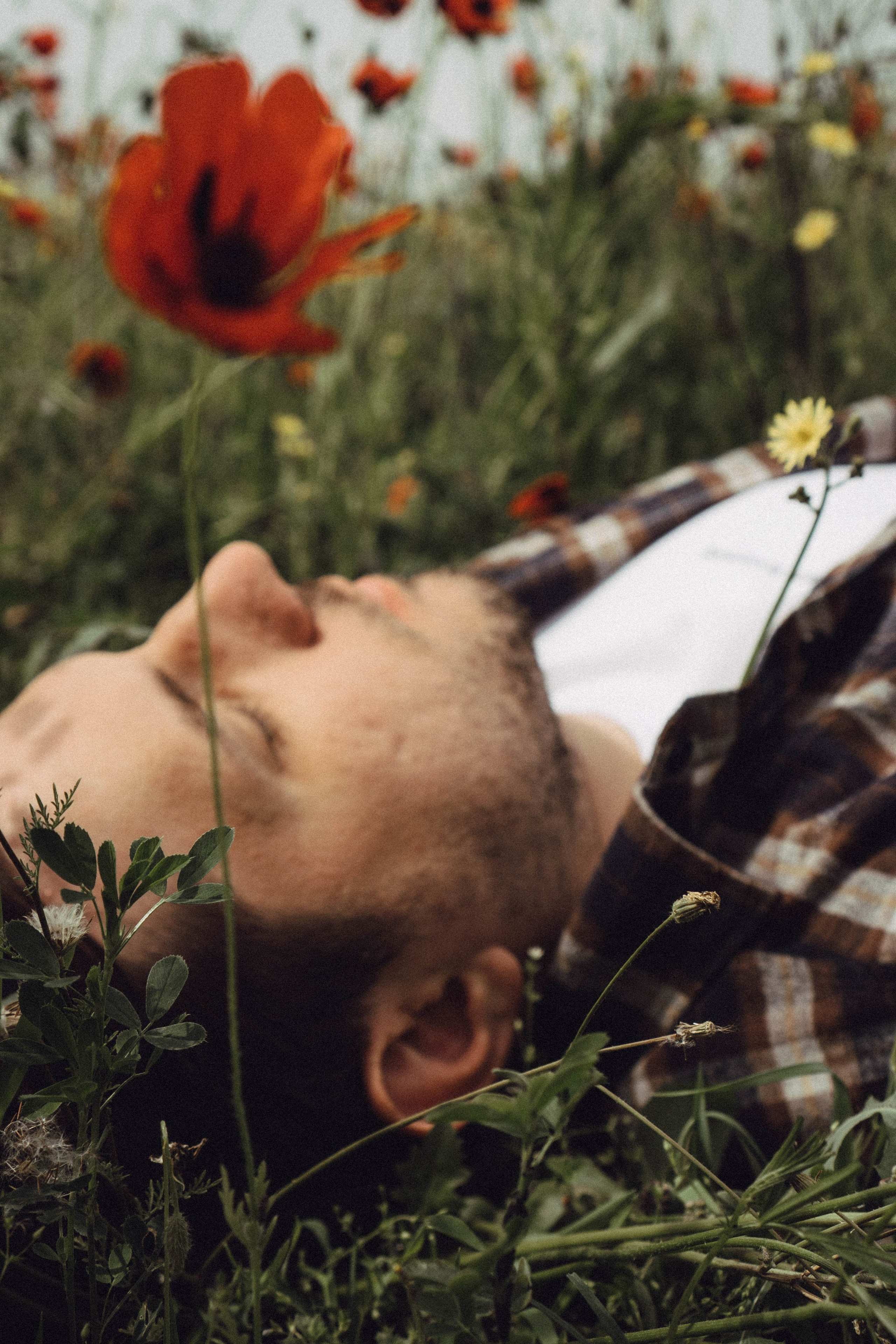 Маки. Профессиональный фотограф, Санкт-Петербург — Виктория Богомолова