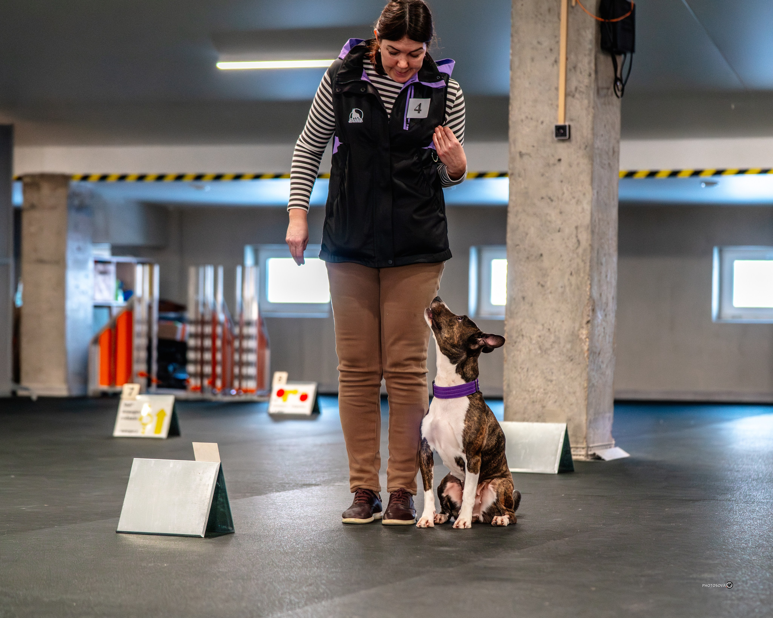 ТЫ И Я (соревнования по ралли-обидиенс). Фотограф-анималист, семейный фотограф в Москве и Подмосковье. Фотосъёмка кинологических дисциплин