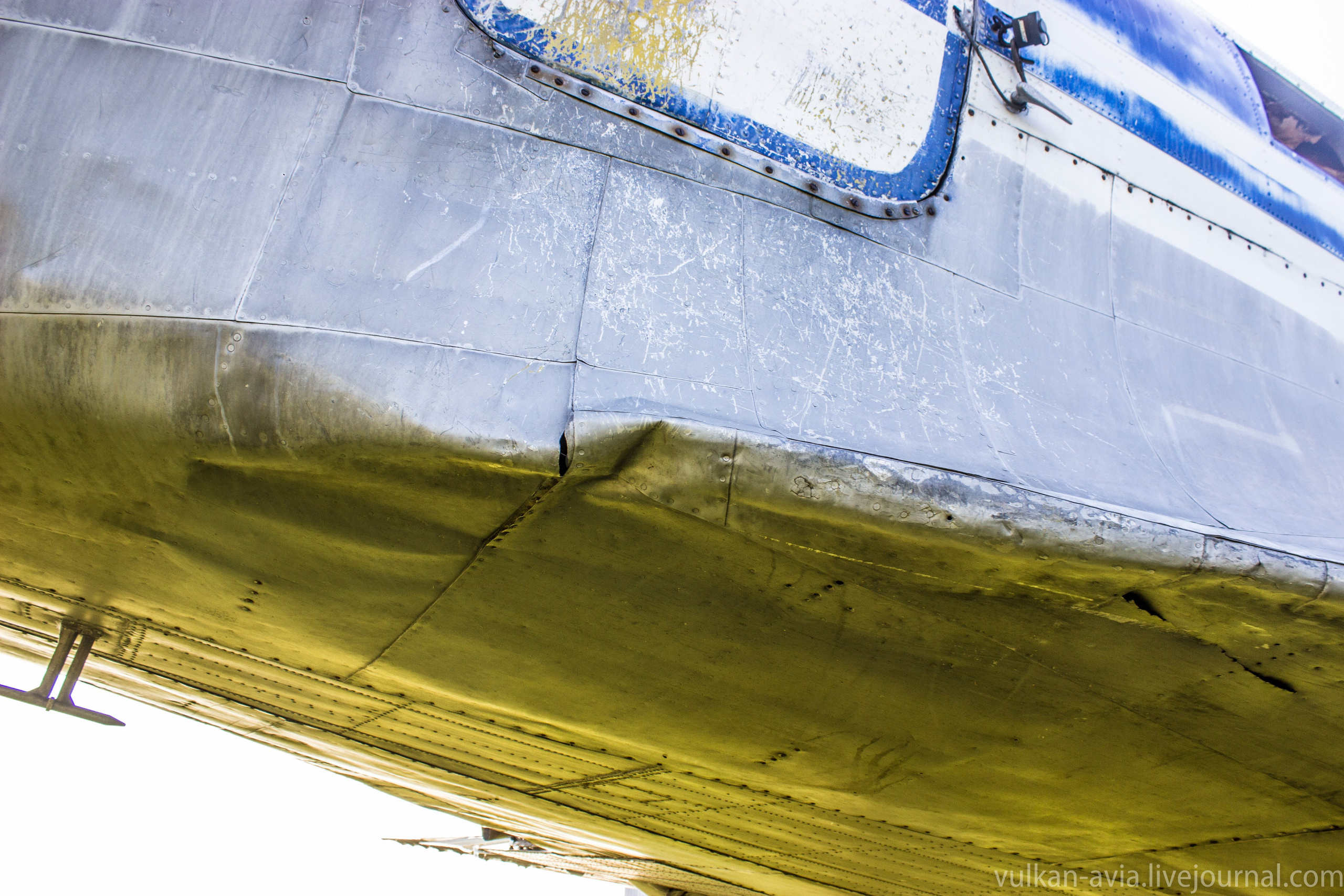 Ил-14 (Пермь, Фролы). Фотоальбом показывающий увлекательный мир авиации и мир медведей Андрея Иванова