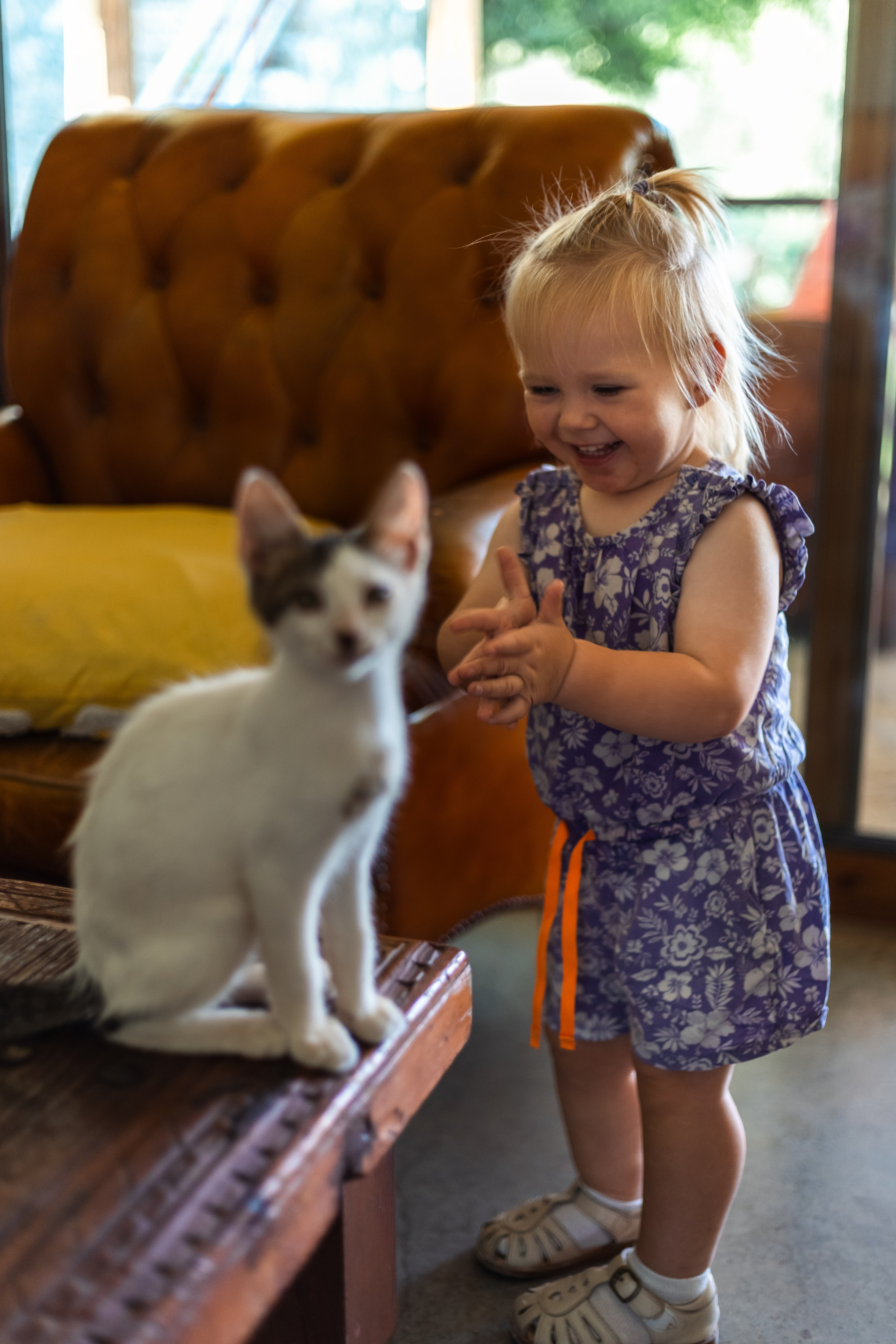 Оливия. Семейный фотограф Израиль