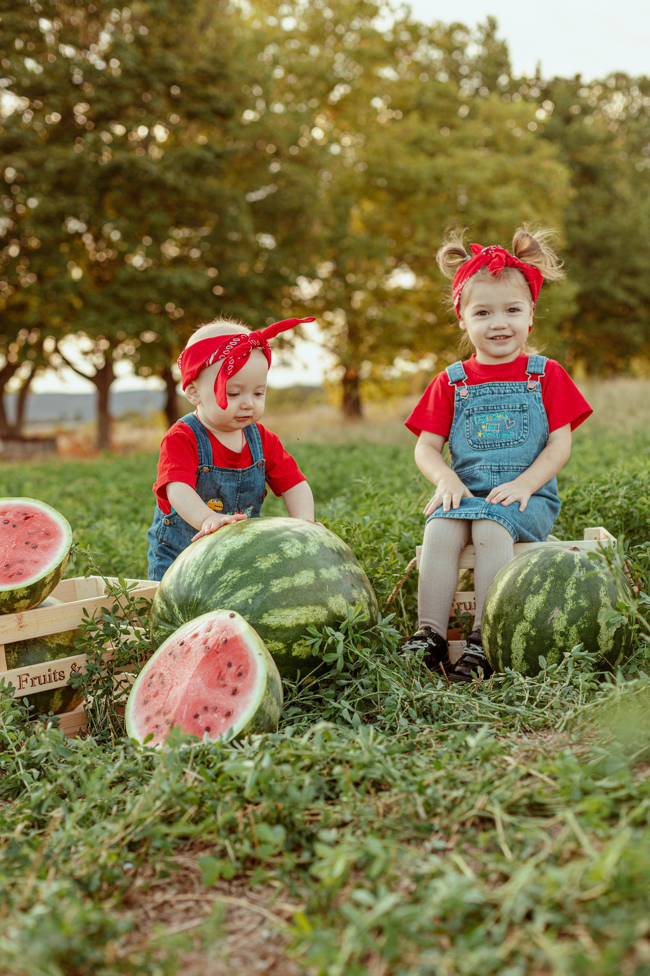 АРБУЗЫ. Семейный и детский фотограф в Крыму Екатерина Швец