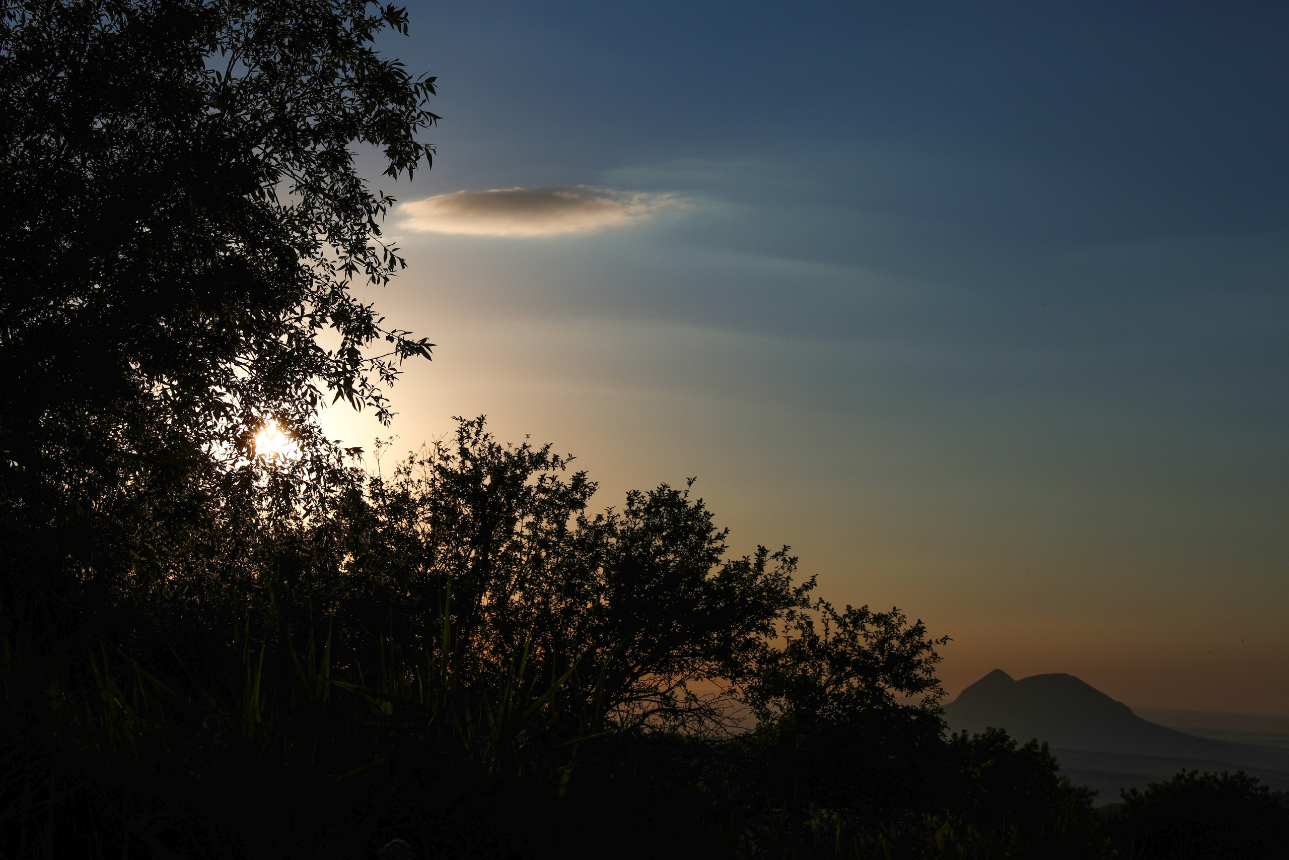 Фотограф Мария Алексеева. Мария Алексеева. Фотограф в Москве