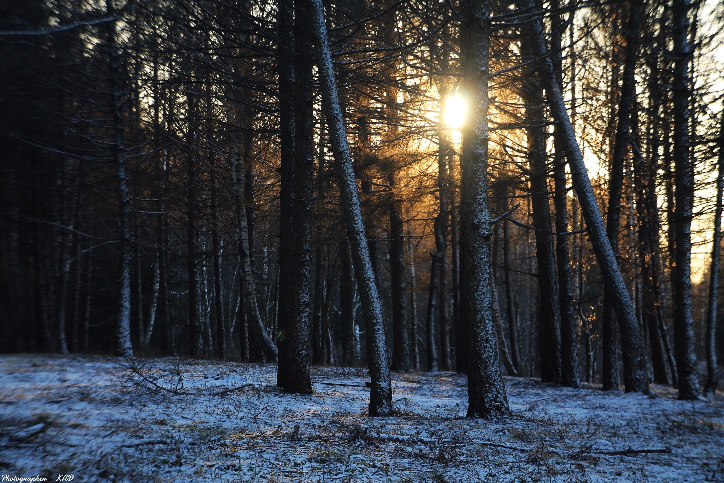 Пейзажи и природа. Photographer K.A.D