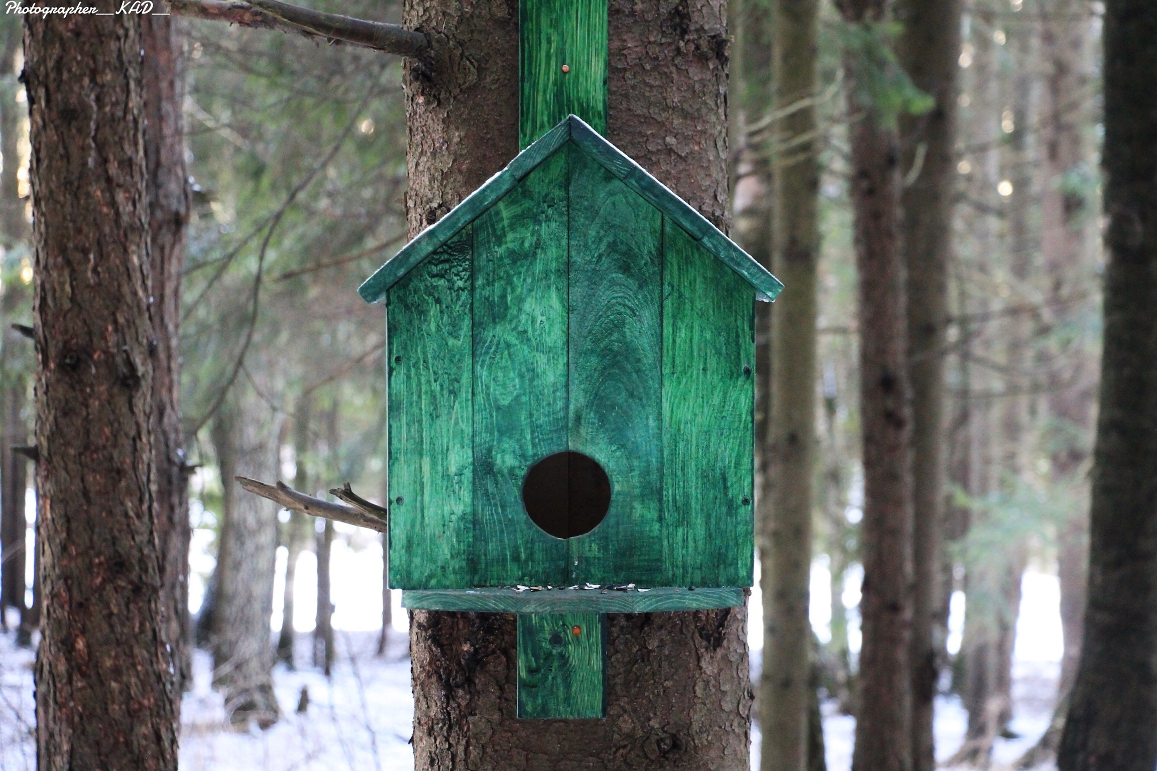 Пейзажи и природа. Photographer K.A.D