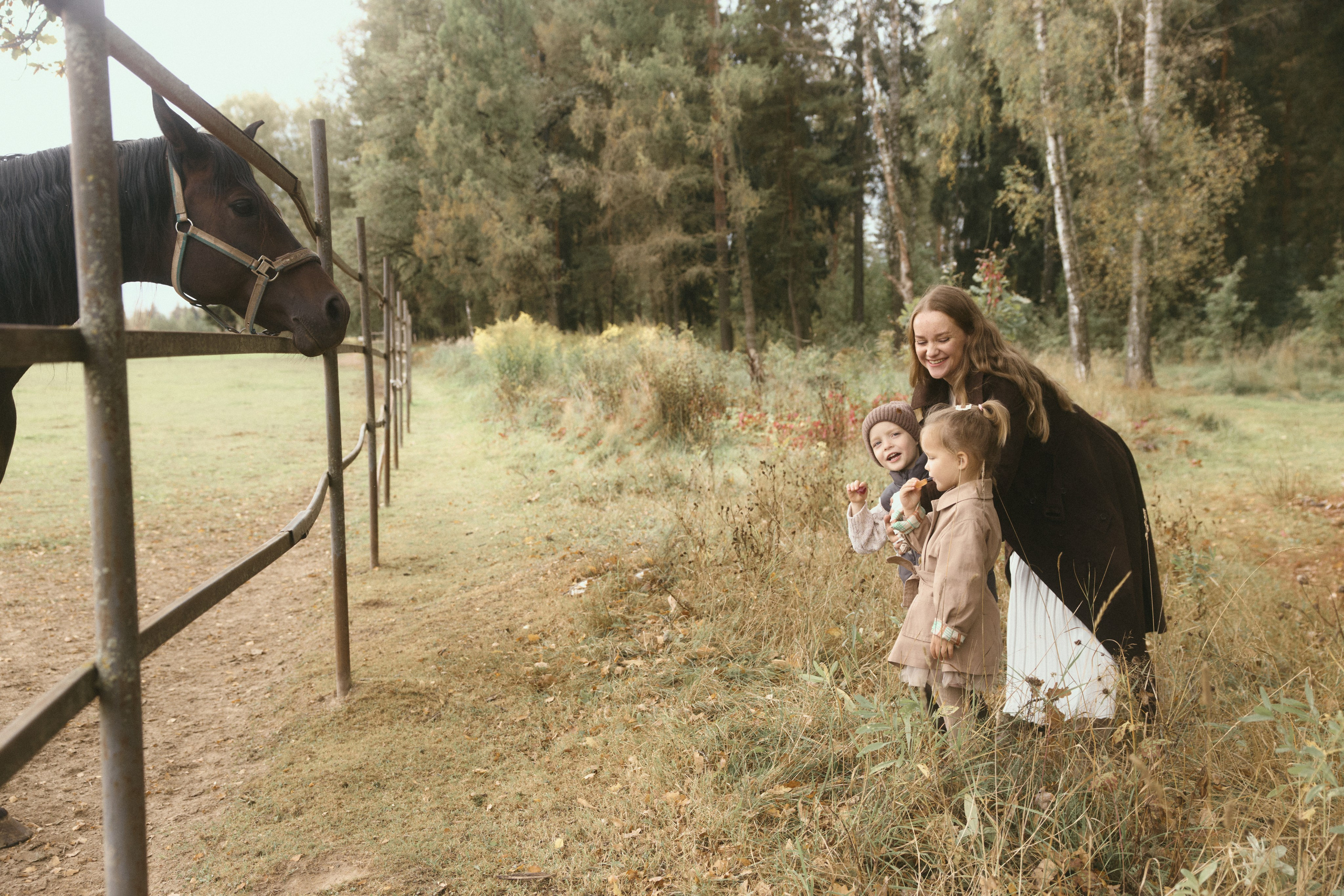 Дима + Юля + Гриша + Ариша. Семейный и детский фотограф Юлия Шох