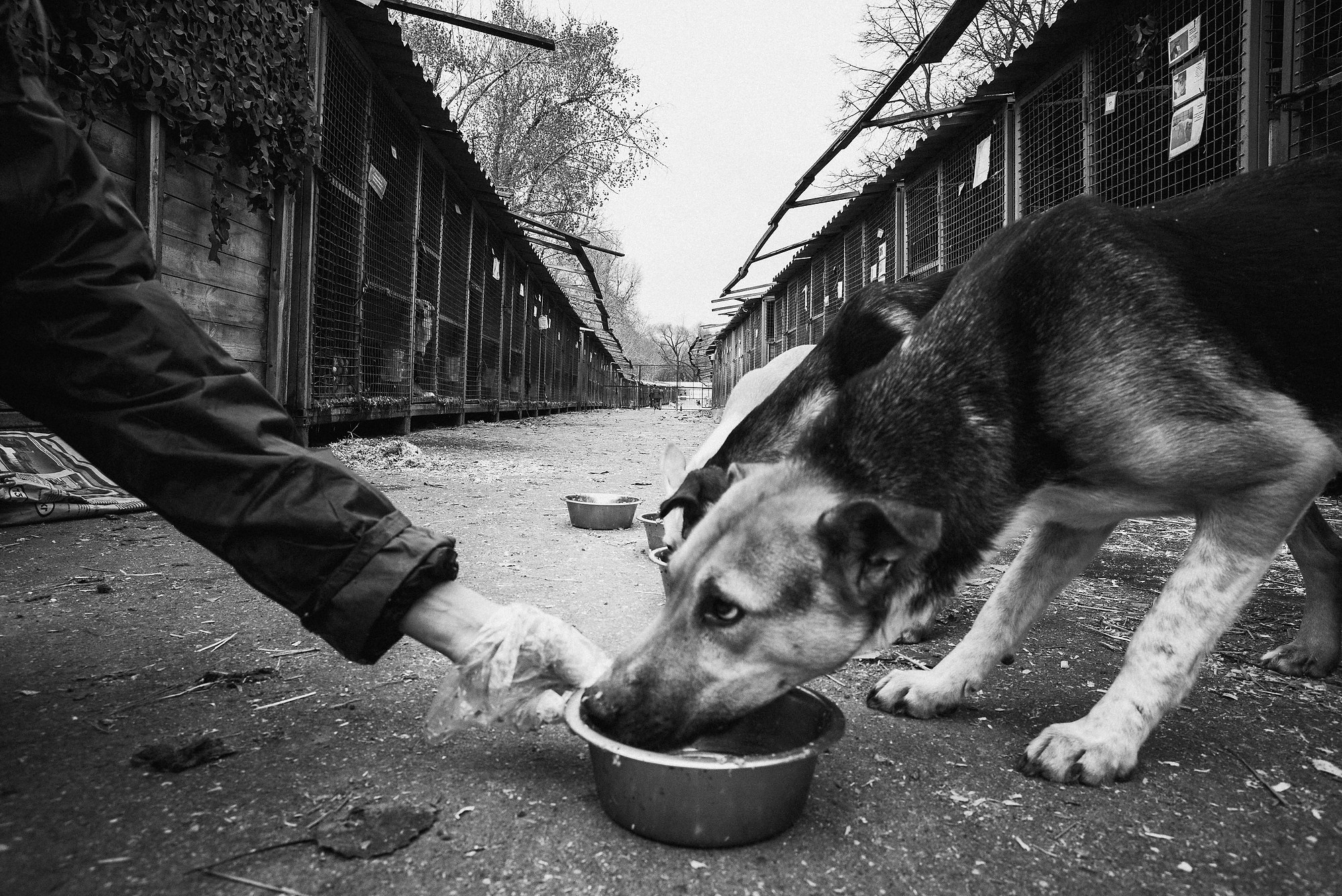 Синдром ожидания. Промышленная и репортажная фотография