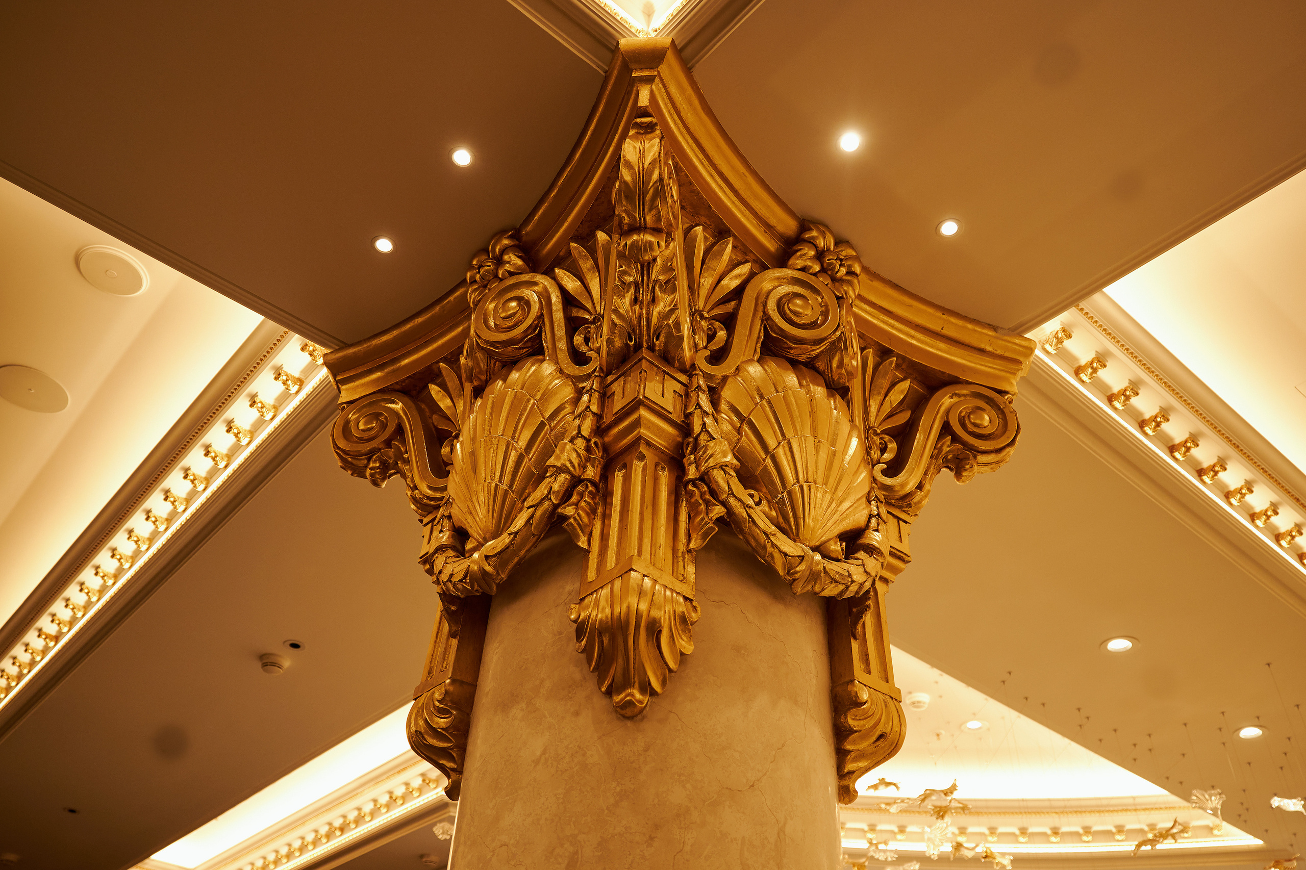 ВЕТПРОМ 20 лет