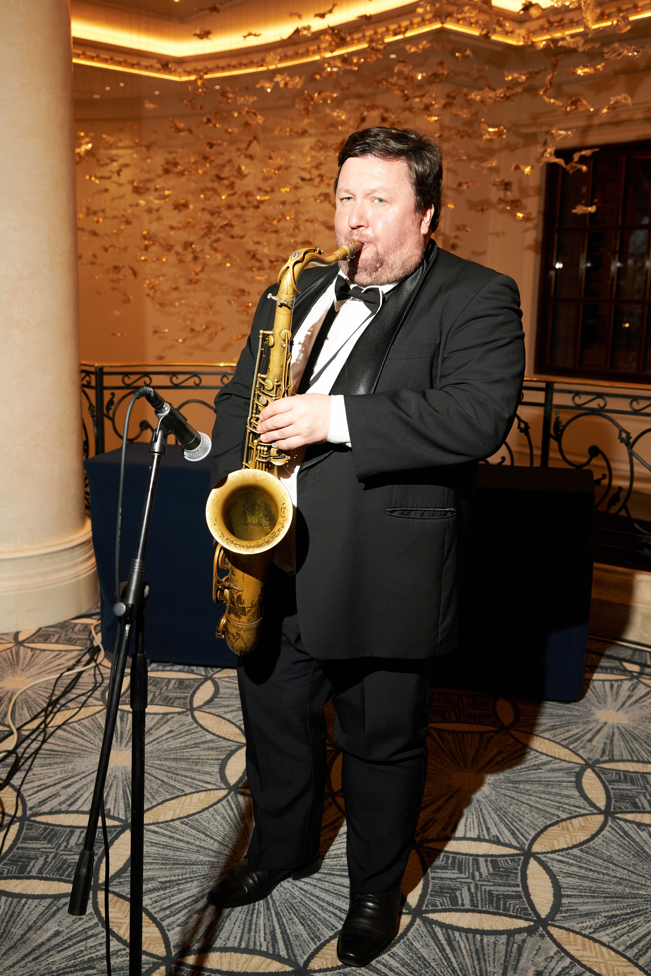 ВЕТПРОМ 20 лет