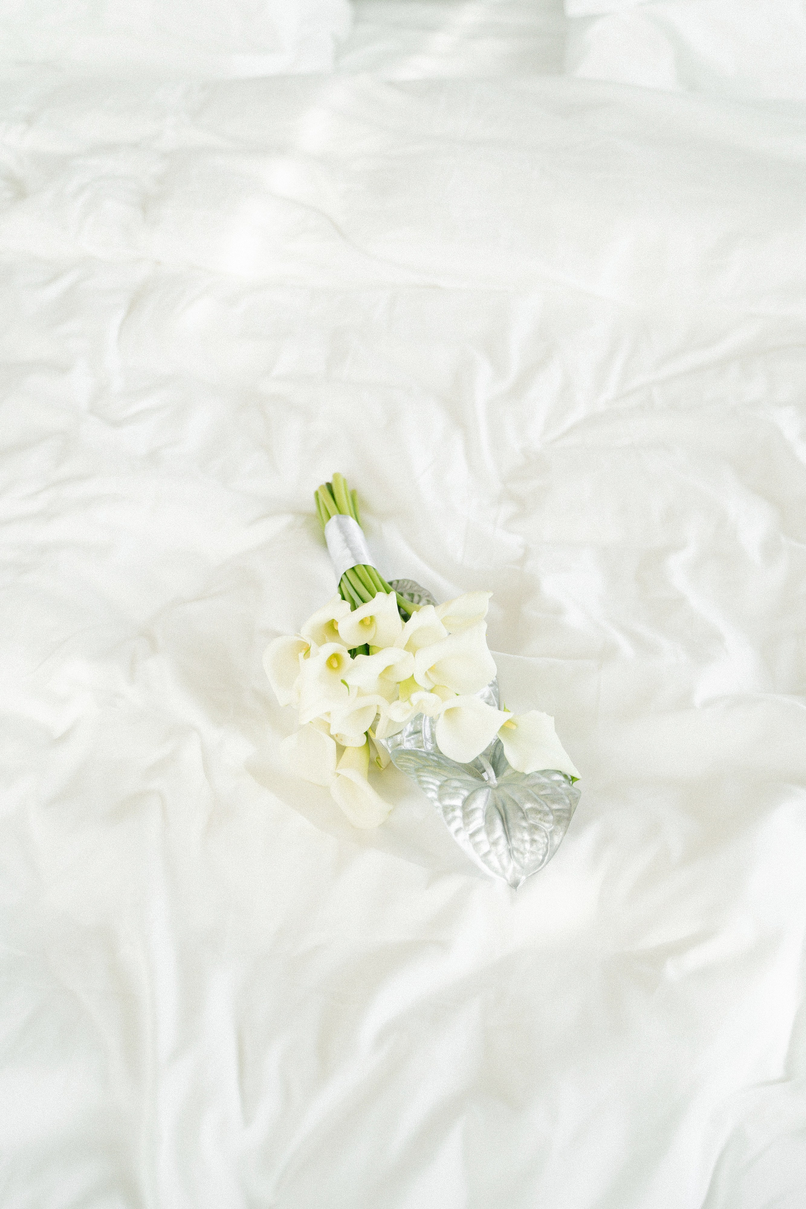 Вегас. Главная