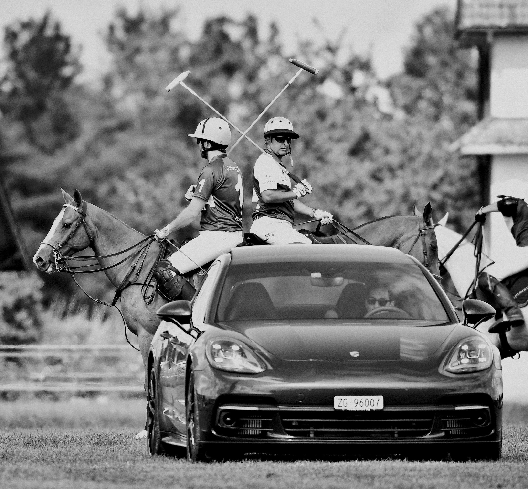 Polo art photos. Art photos of horses — ARTUR BABOEV | Photographer