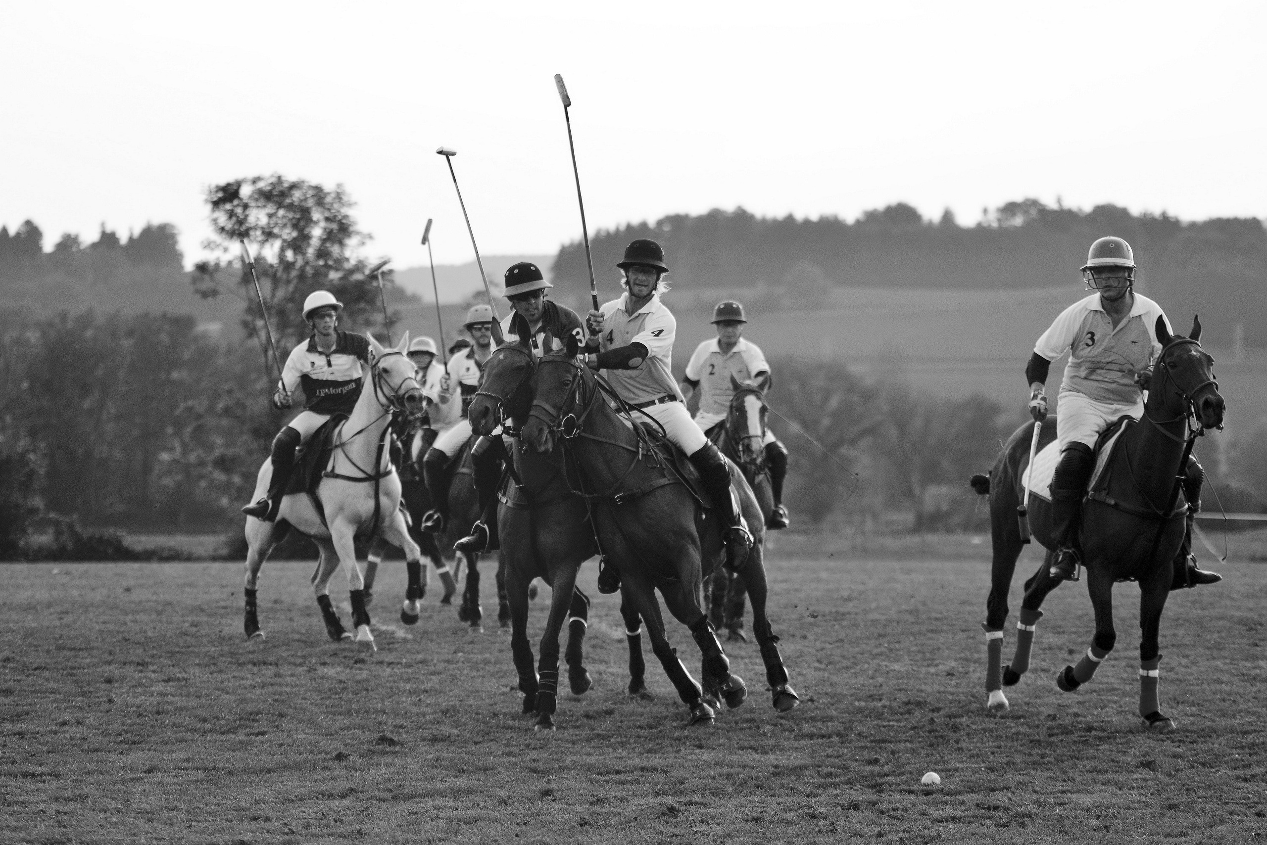 Polo art photos. Art photos of horses — ARTUR BABOEV | Photographer