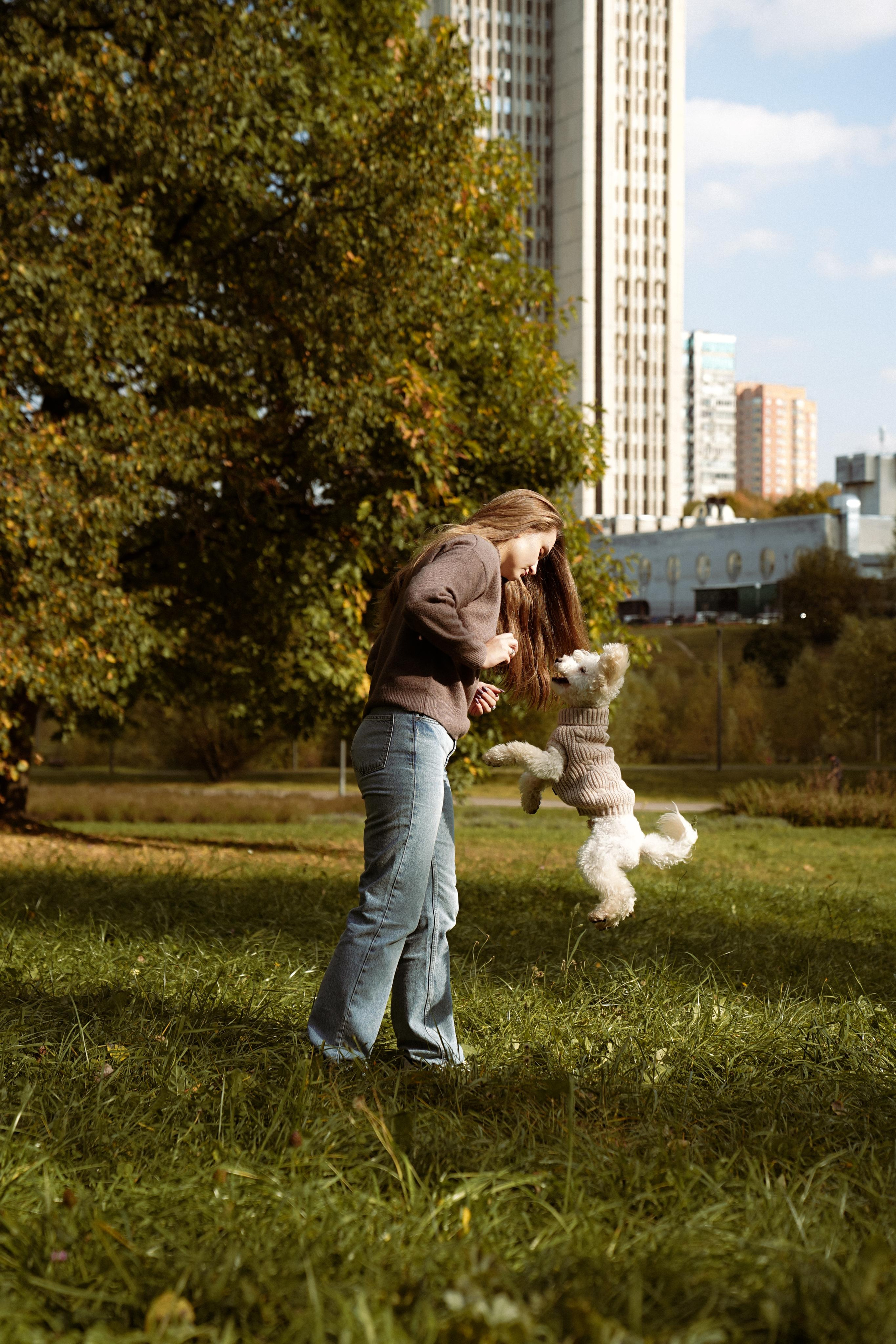 Work reviews. Photograph and videograph in Israel