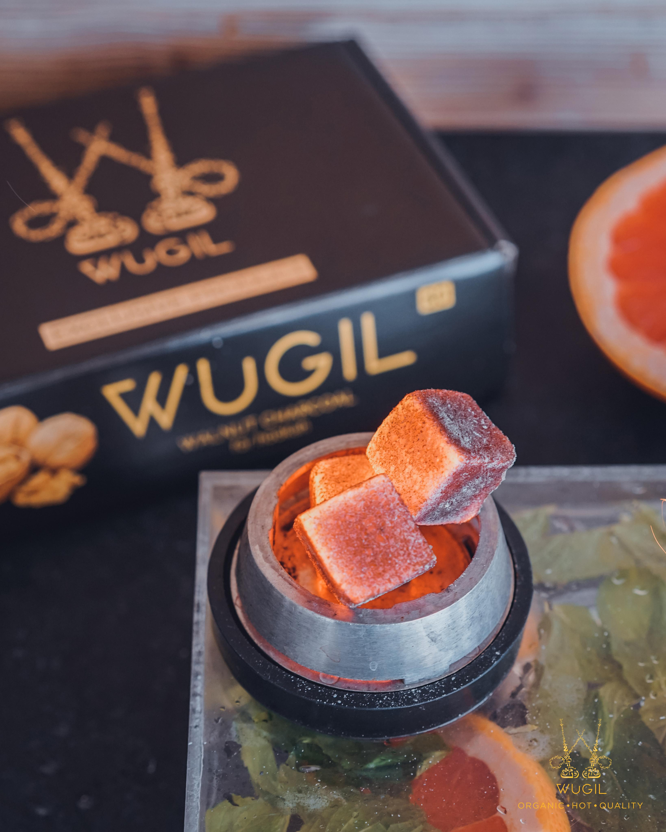 Wugil. Photograph and videograph in Israel