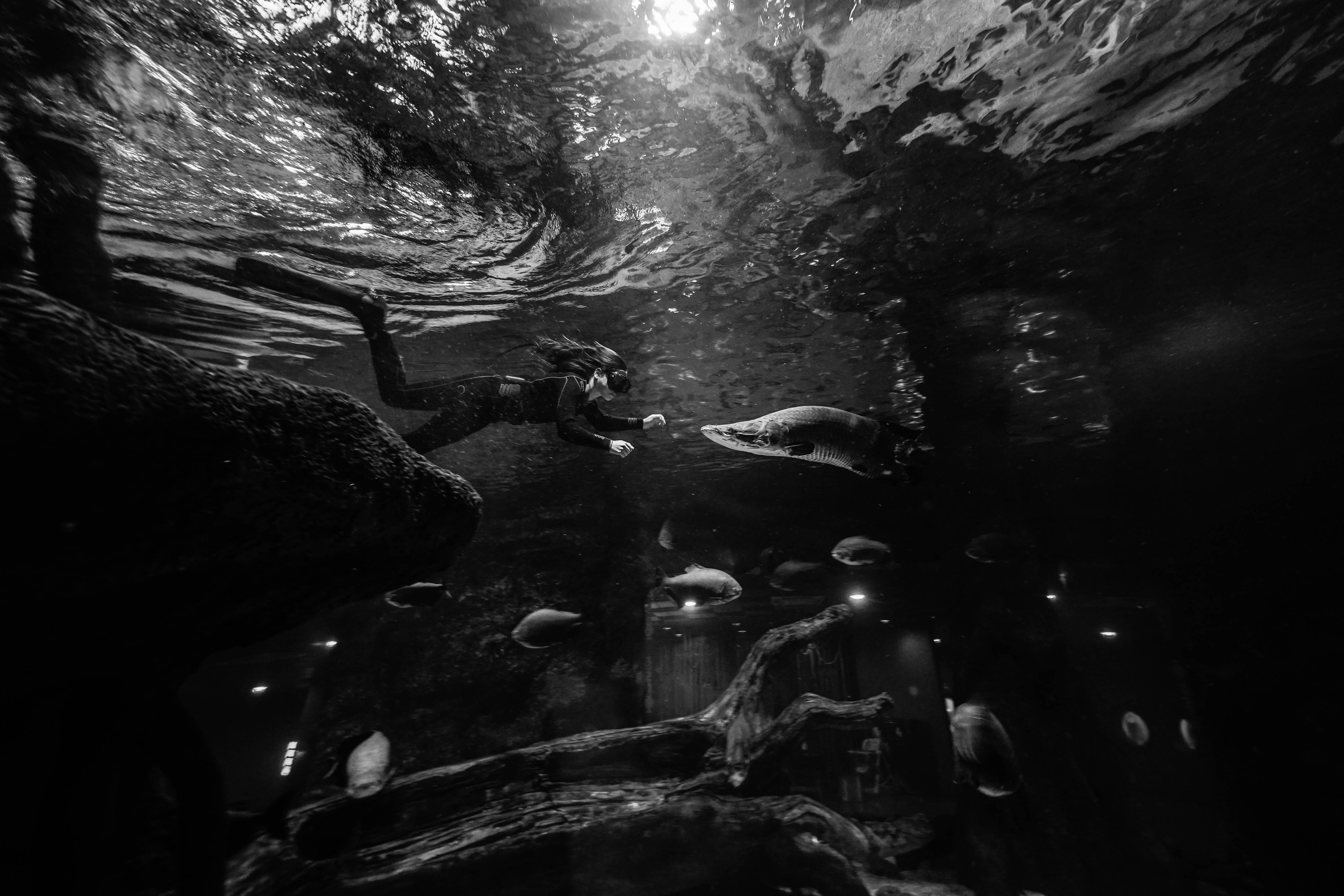 Портреты. Photograph and videograph in Israel