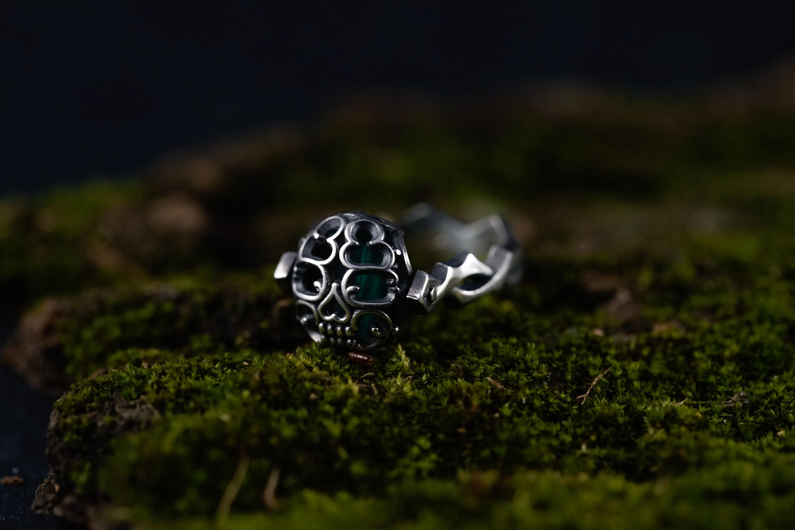 Bloome hard. Photograph and videograph in Israel