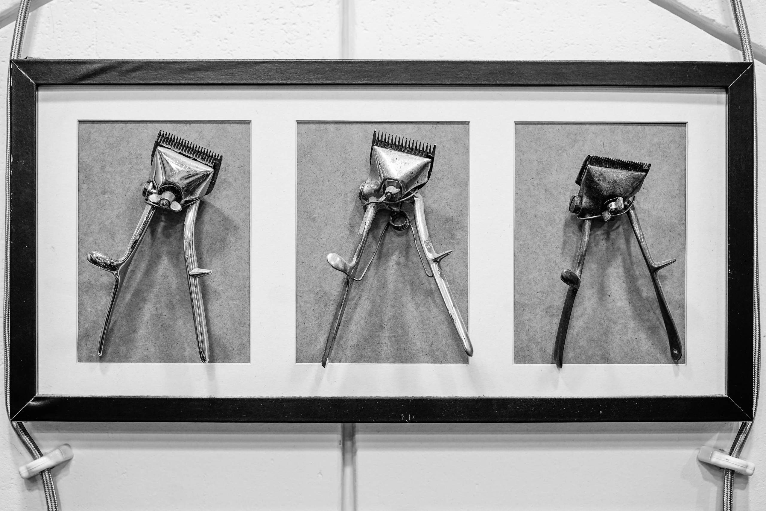 Blick. Photograph and videograph in Israel