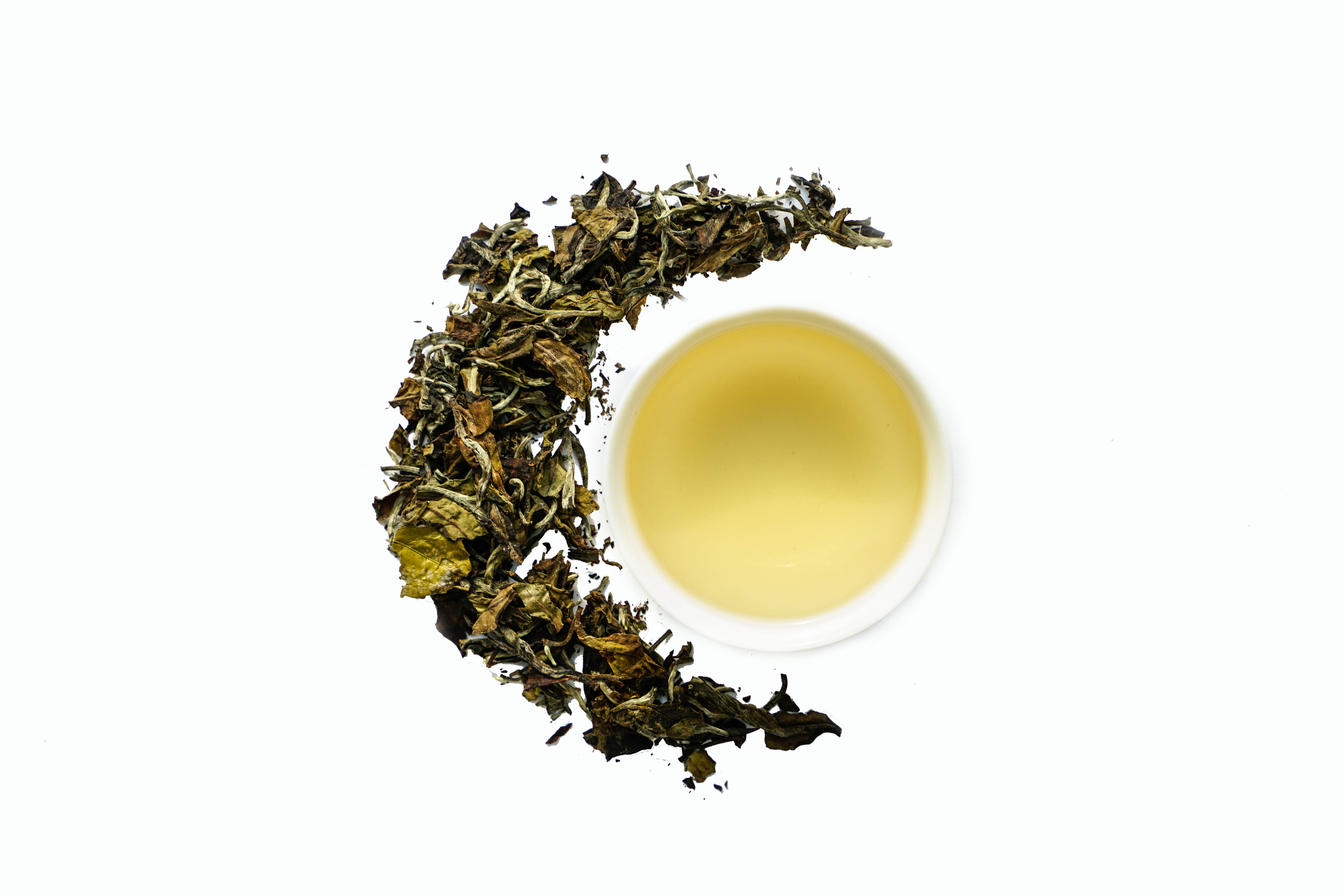 Tea. Photograph and videograph in Israel