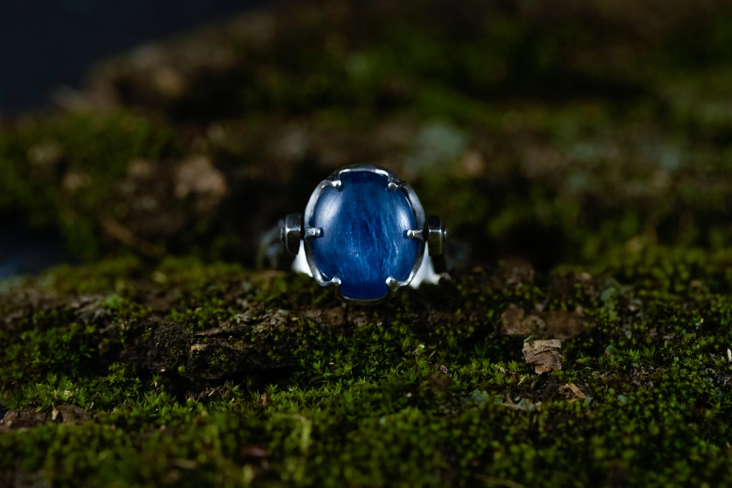 Bloome hard. Photograph and videograph in Israel