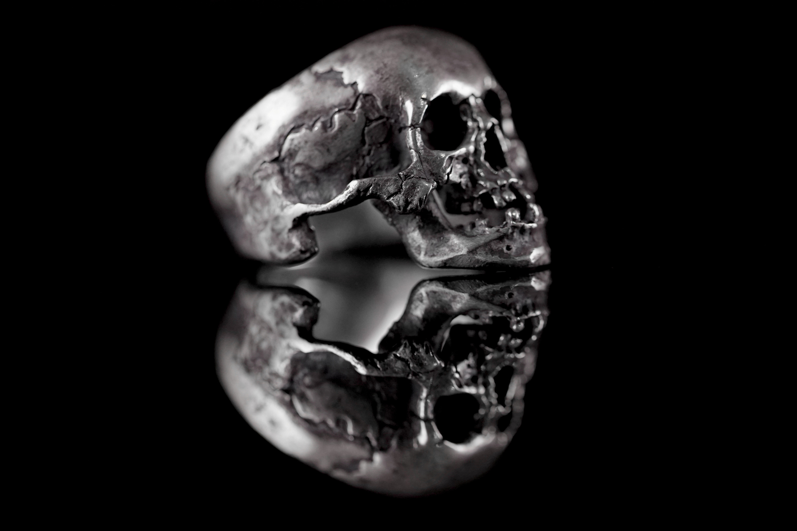 Bloome hard. Photograph and videograph in Israel