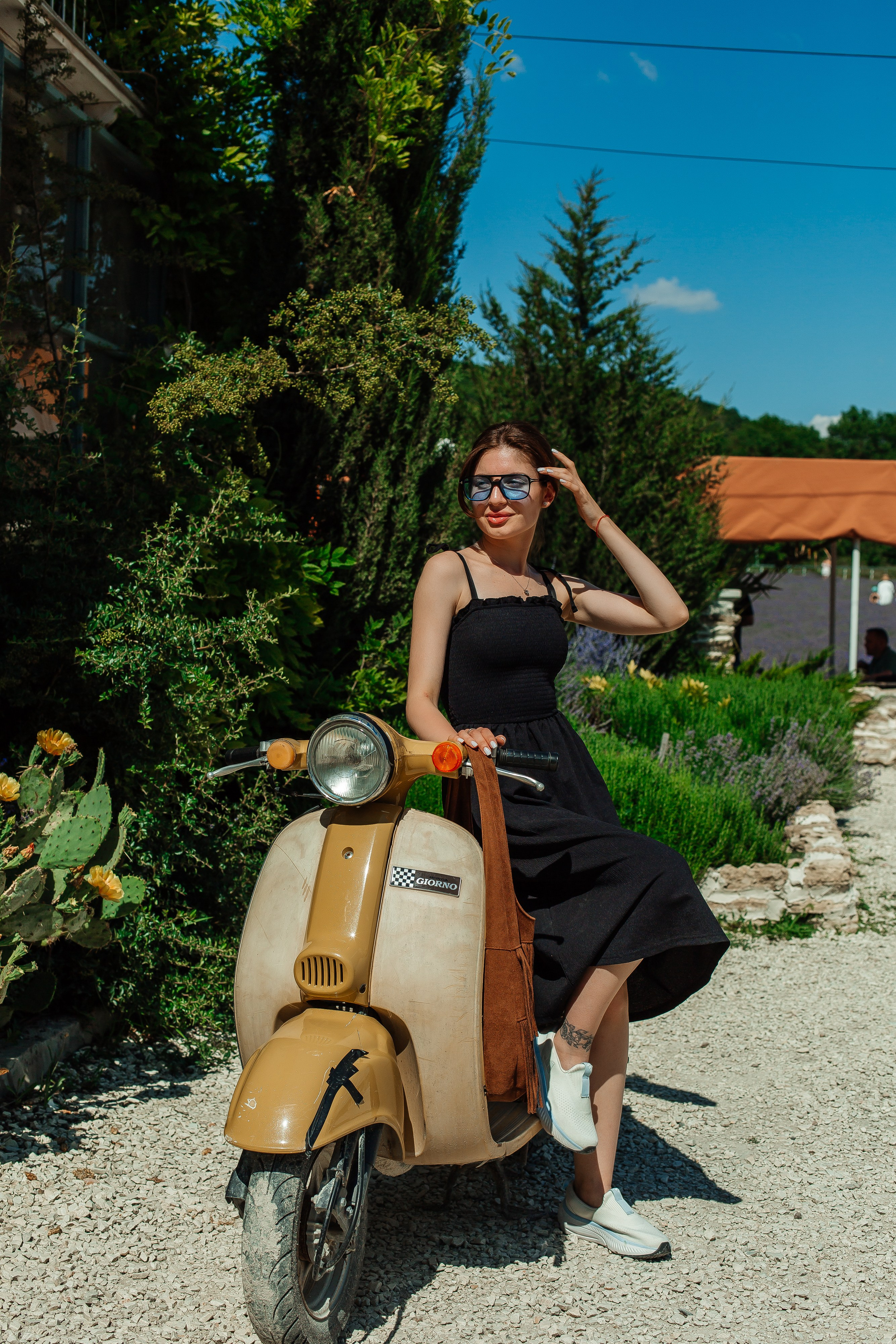 Лавандовые поля