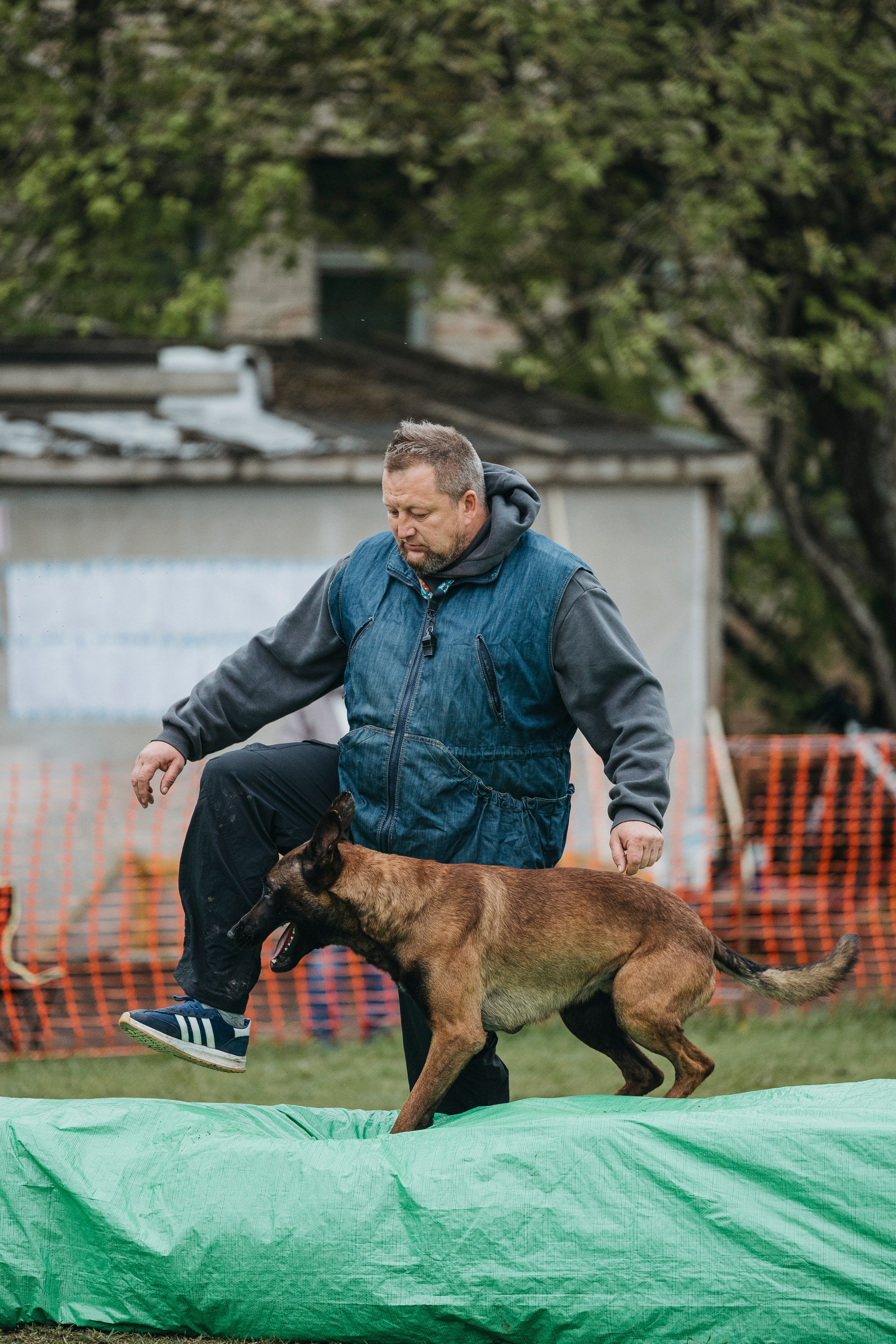 26.05.25 г. Пушкин квалификационные соревнования. Фотограф-анималист Анна Маринич