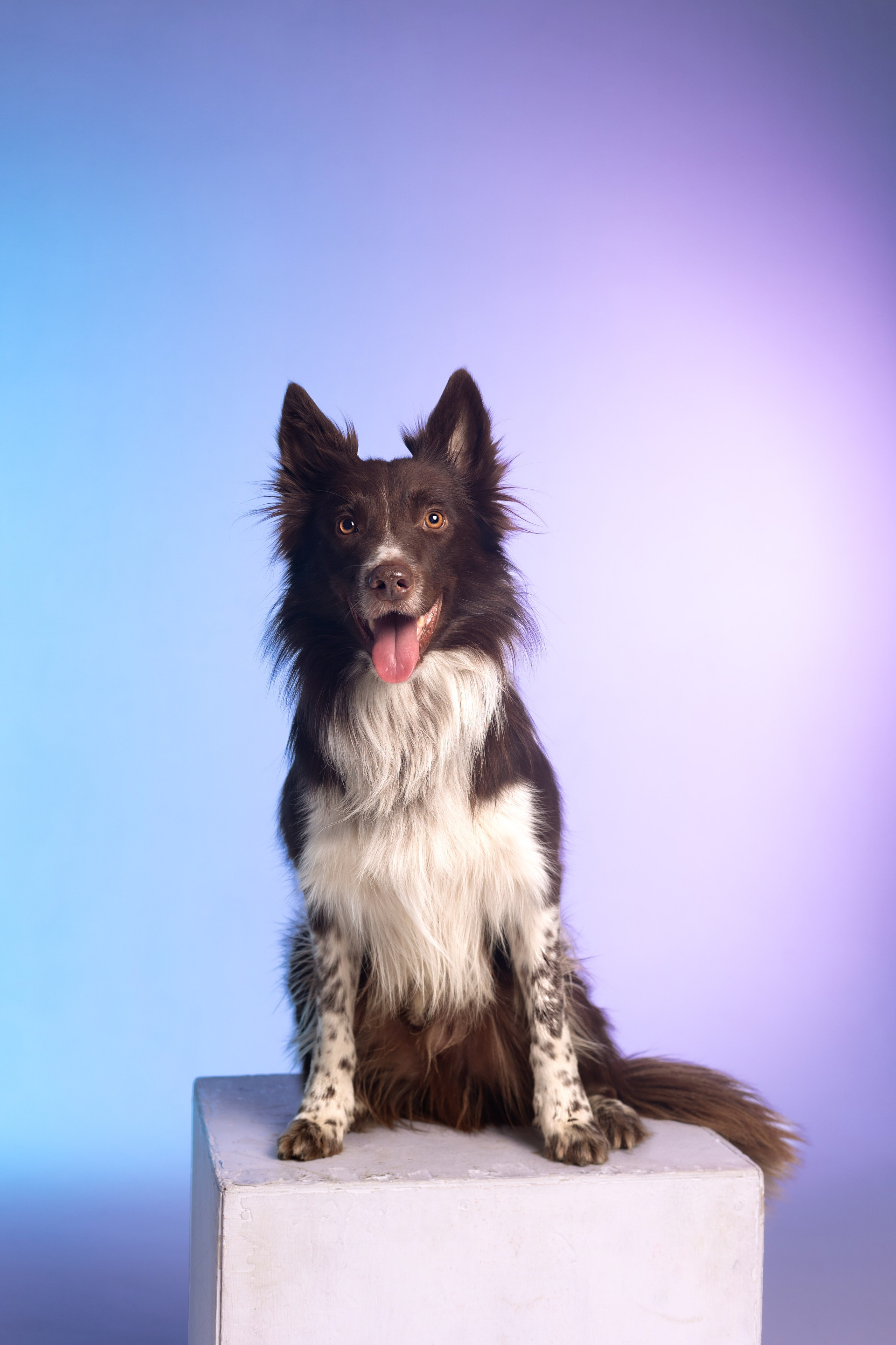 Неон. Фотограф анималист Кристина Карпова, Москва