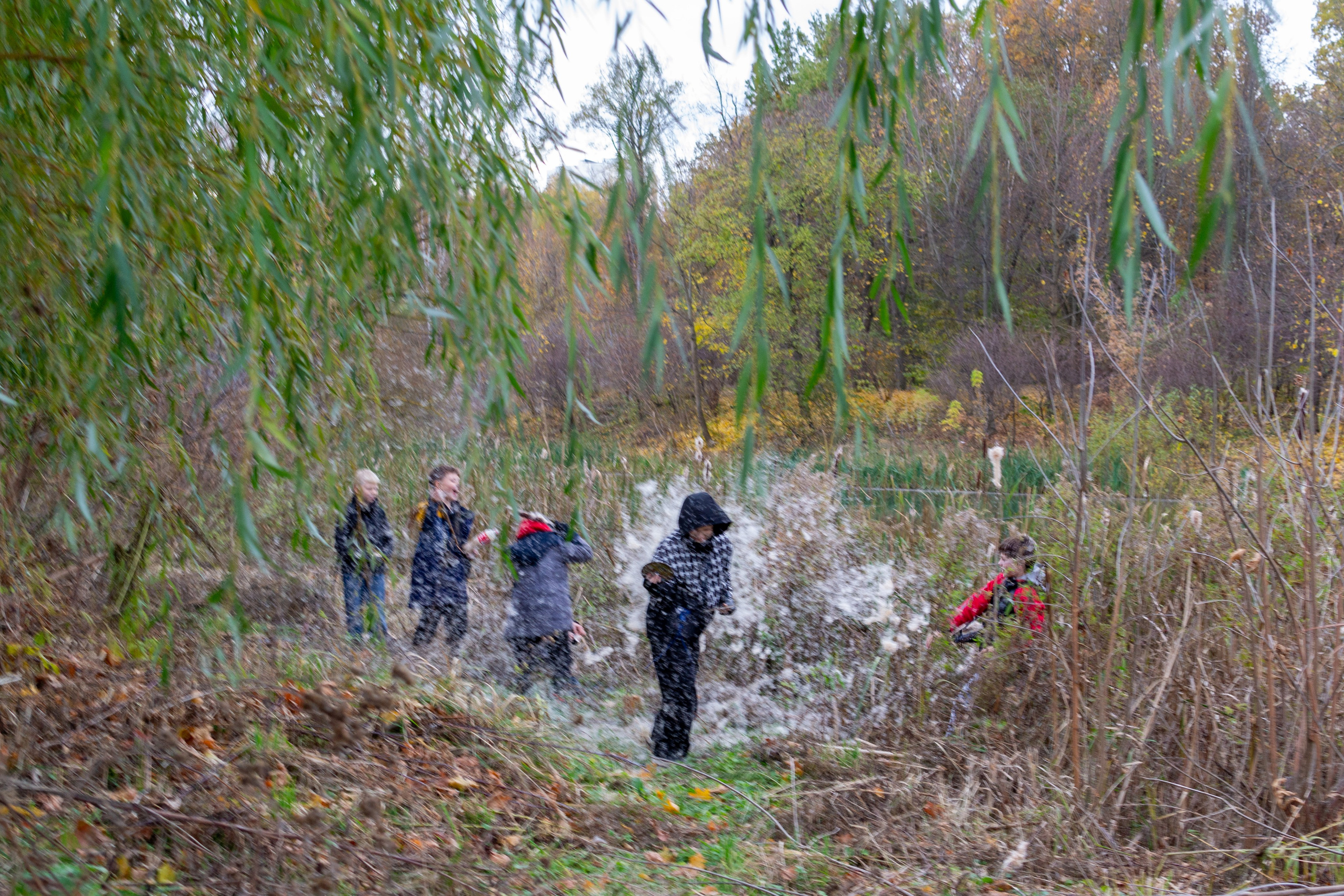 Старенький Nikon 3100 и nikkor 35 mm 1.8 (фото проявленные из RAW-NEF файлов). Фотограф в Туле Крупский АнДРей. Фотостудия «КАДР71» в Туле
