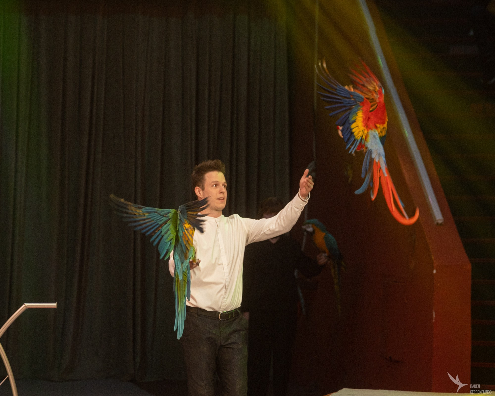 Гала-представление ЭВОЛЮЦИОНЕРЫ. Репортажный фотограф в Казани Павел Серпокрылов