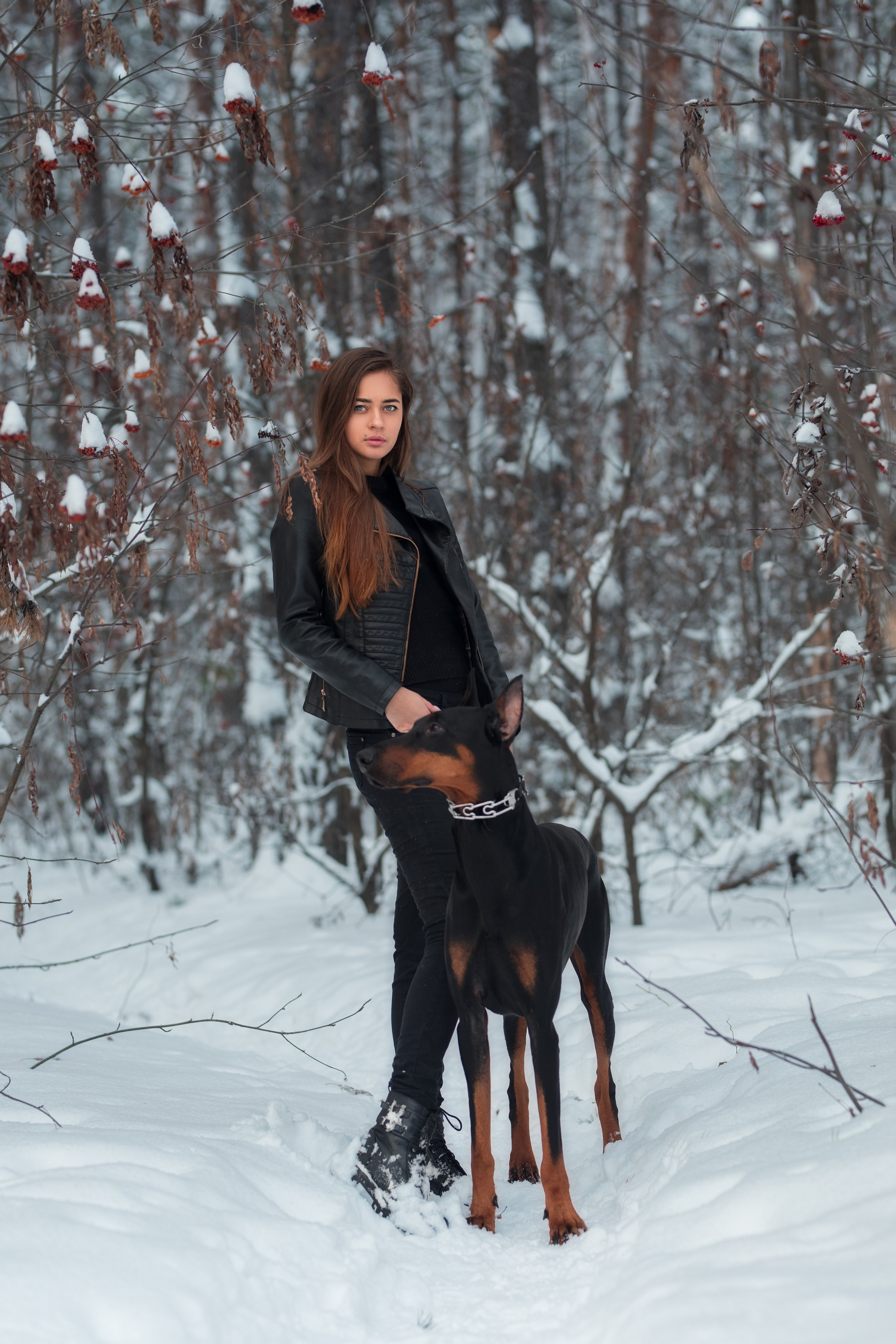Зимняя съемка в лесу с доберманом с Ольгой в формате для «себя»
