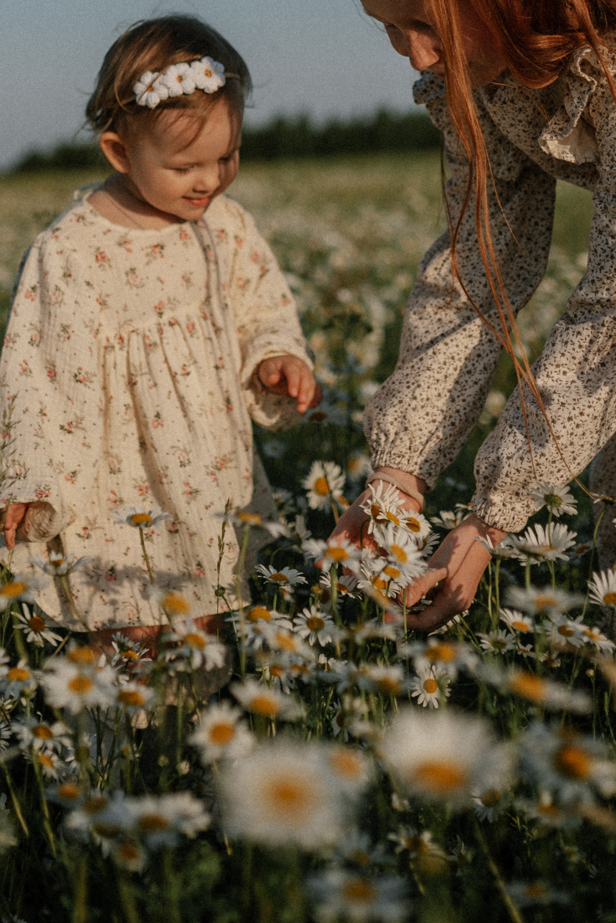 Ида, Мира и ромашки. Свадебный и семейный фотограф Кожевникова Лариса