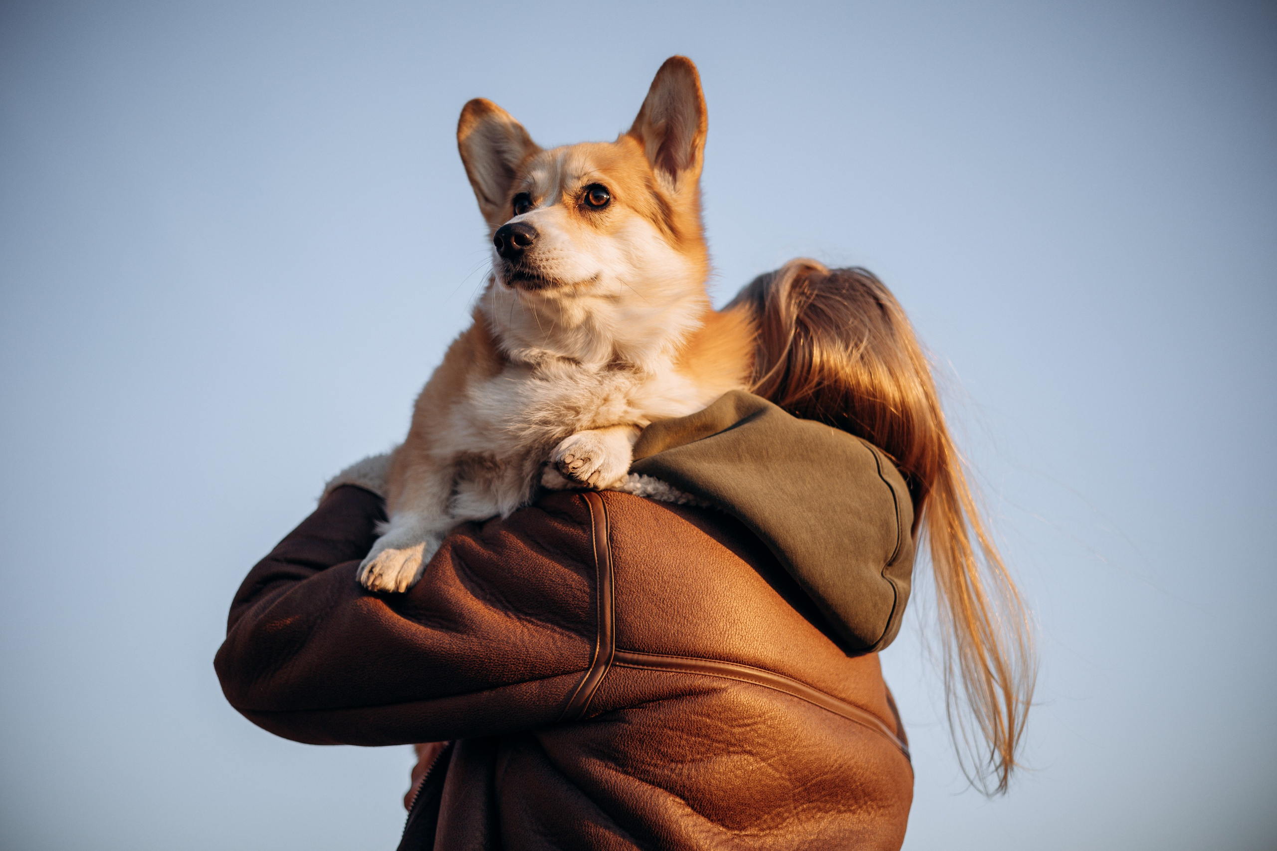 Настя и Ева. Фотограф — Анималист | Санкт-Петербург