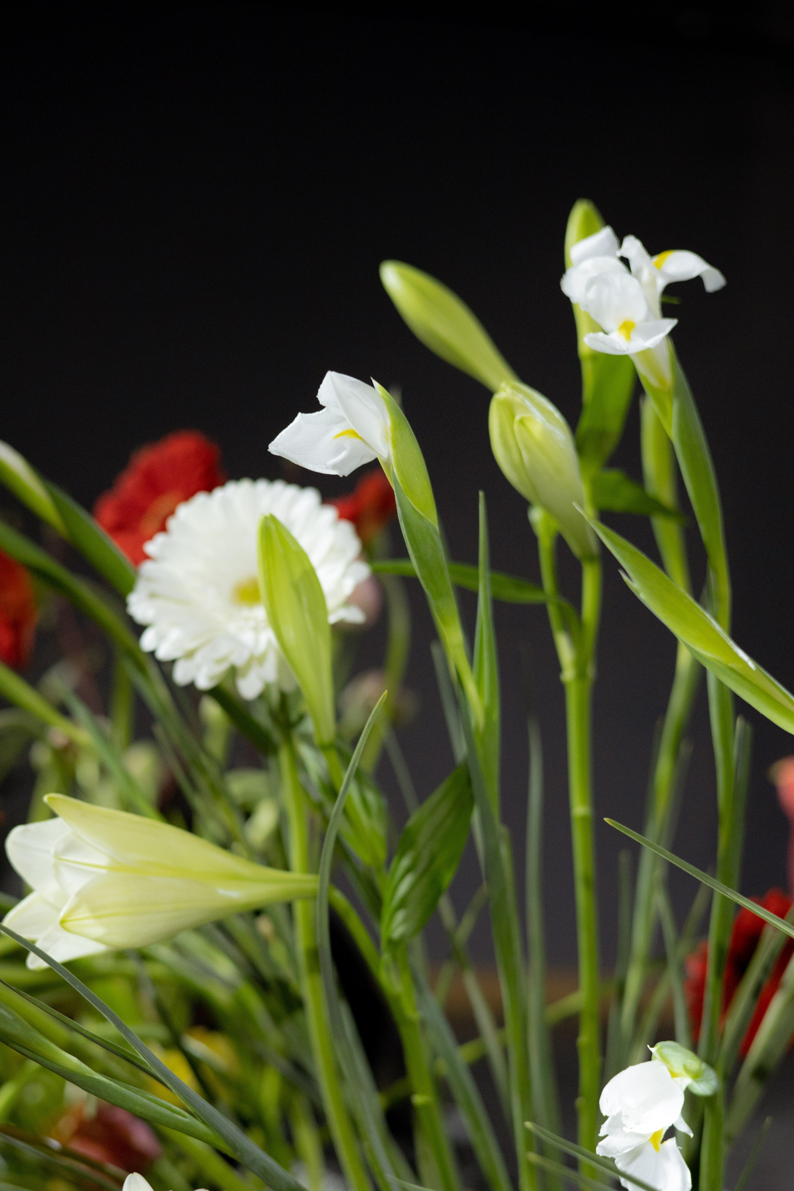 Оформление Отчетного концерта Музыкальной школы Глазунова. Оформление свадеб, декор свадеб Вера Маркова, Москва