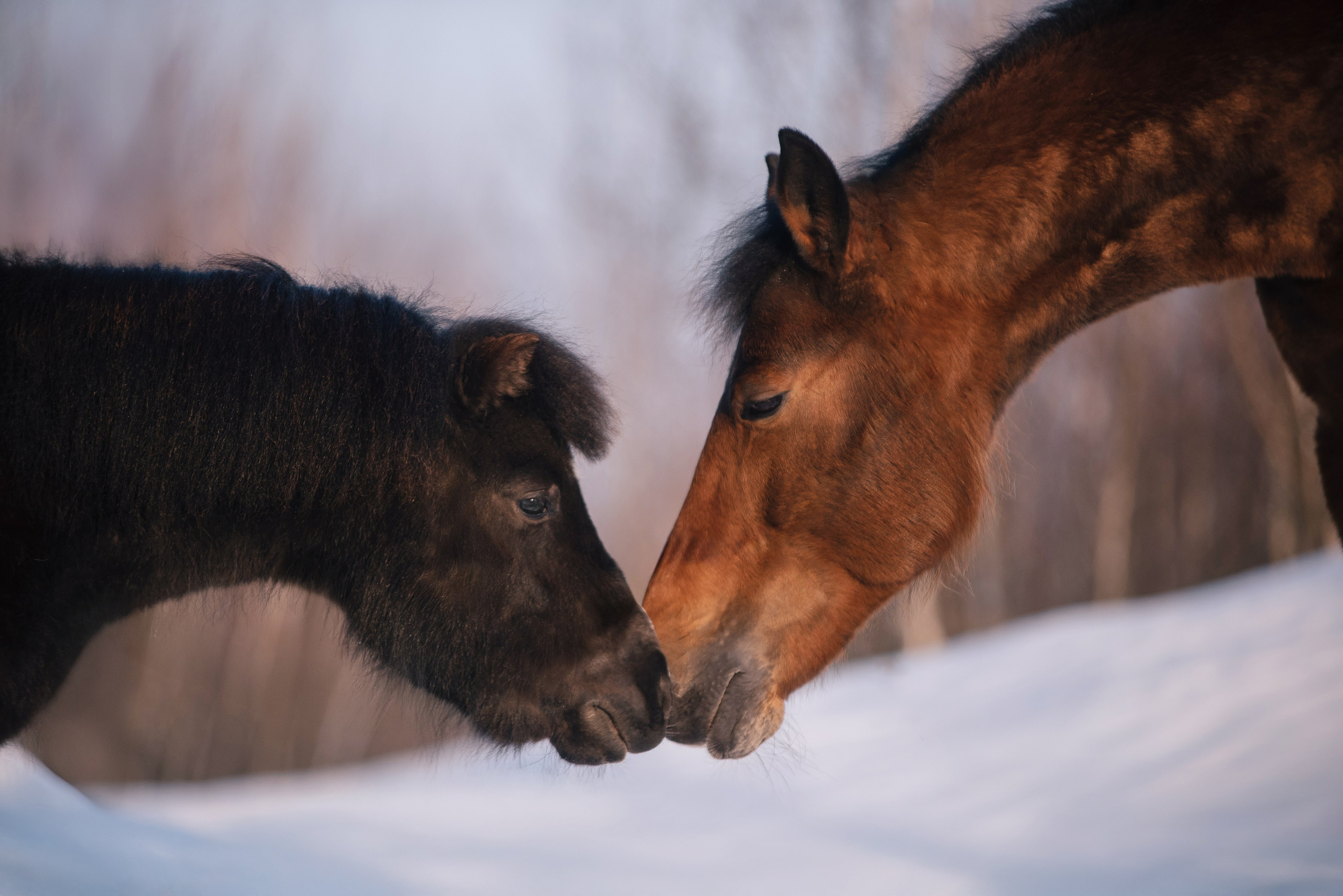 Кантри Клаб. Фотограф Анна Тюрина