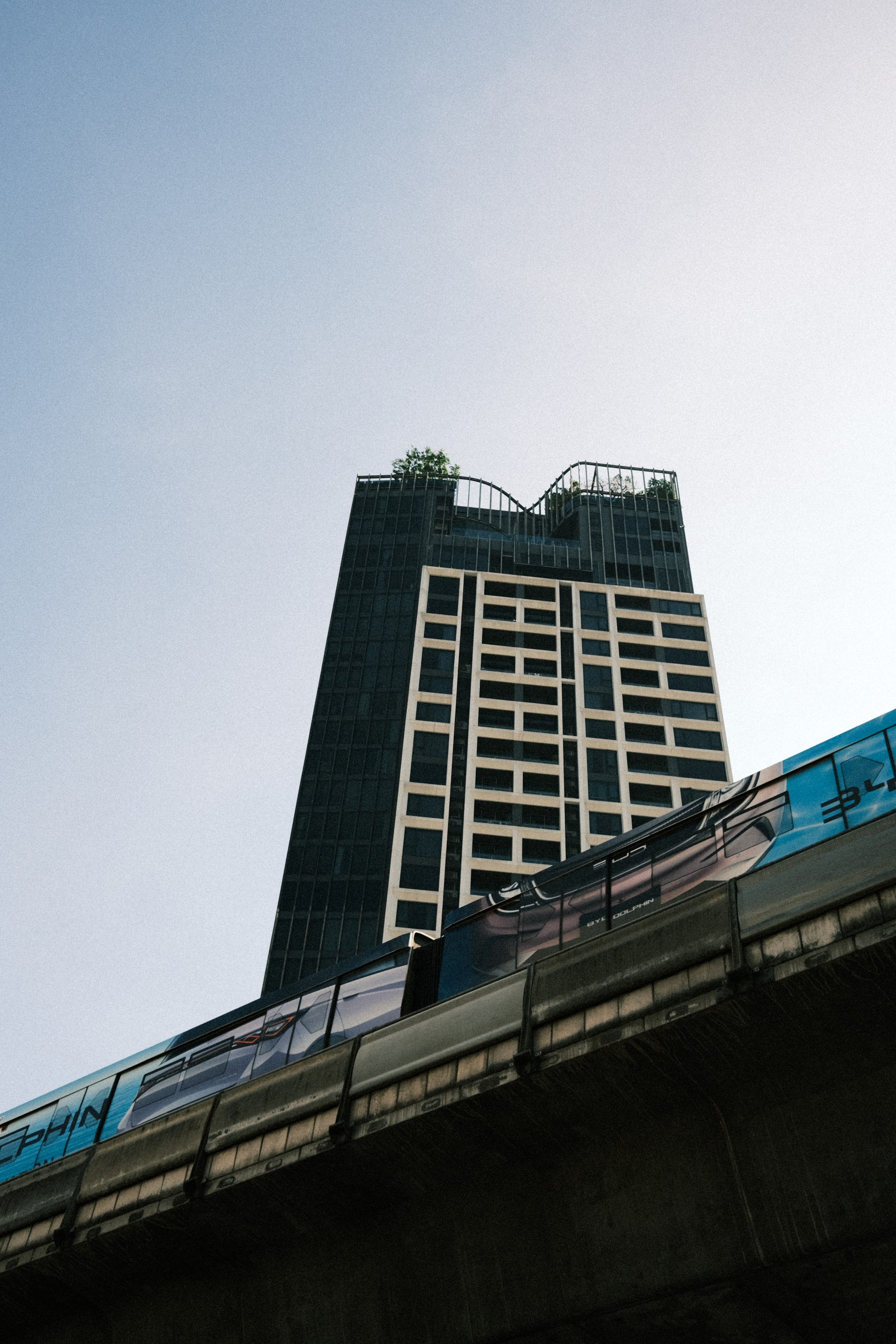 Прямолинейность. Портретный фотограф