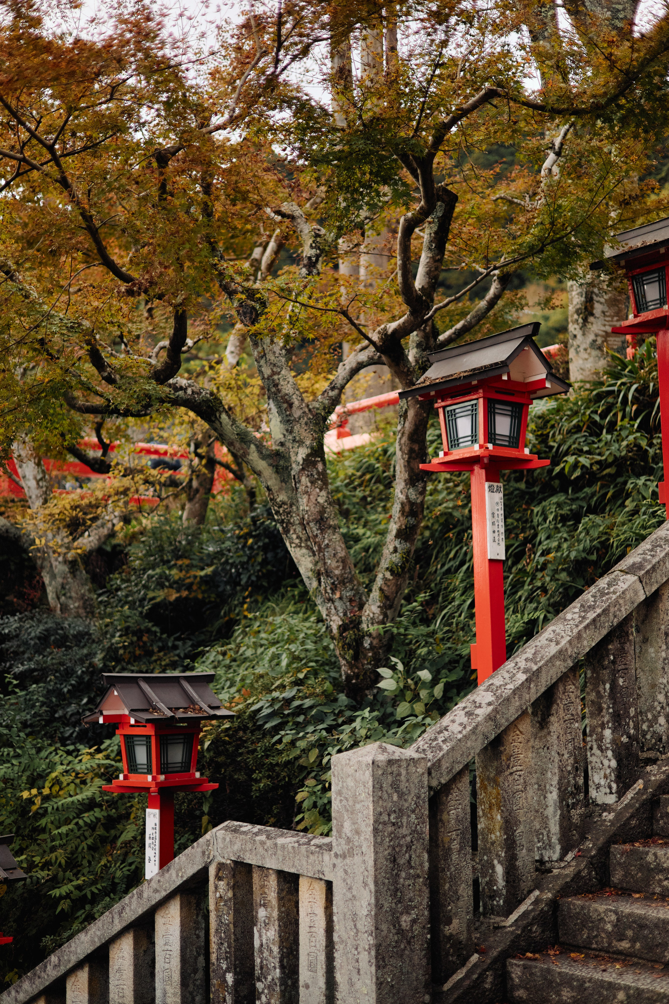 Япония. Профессиональный Фотограф во Владимире, в Москве и в Суздале — Полина Романычева