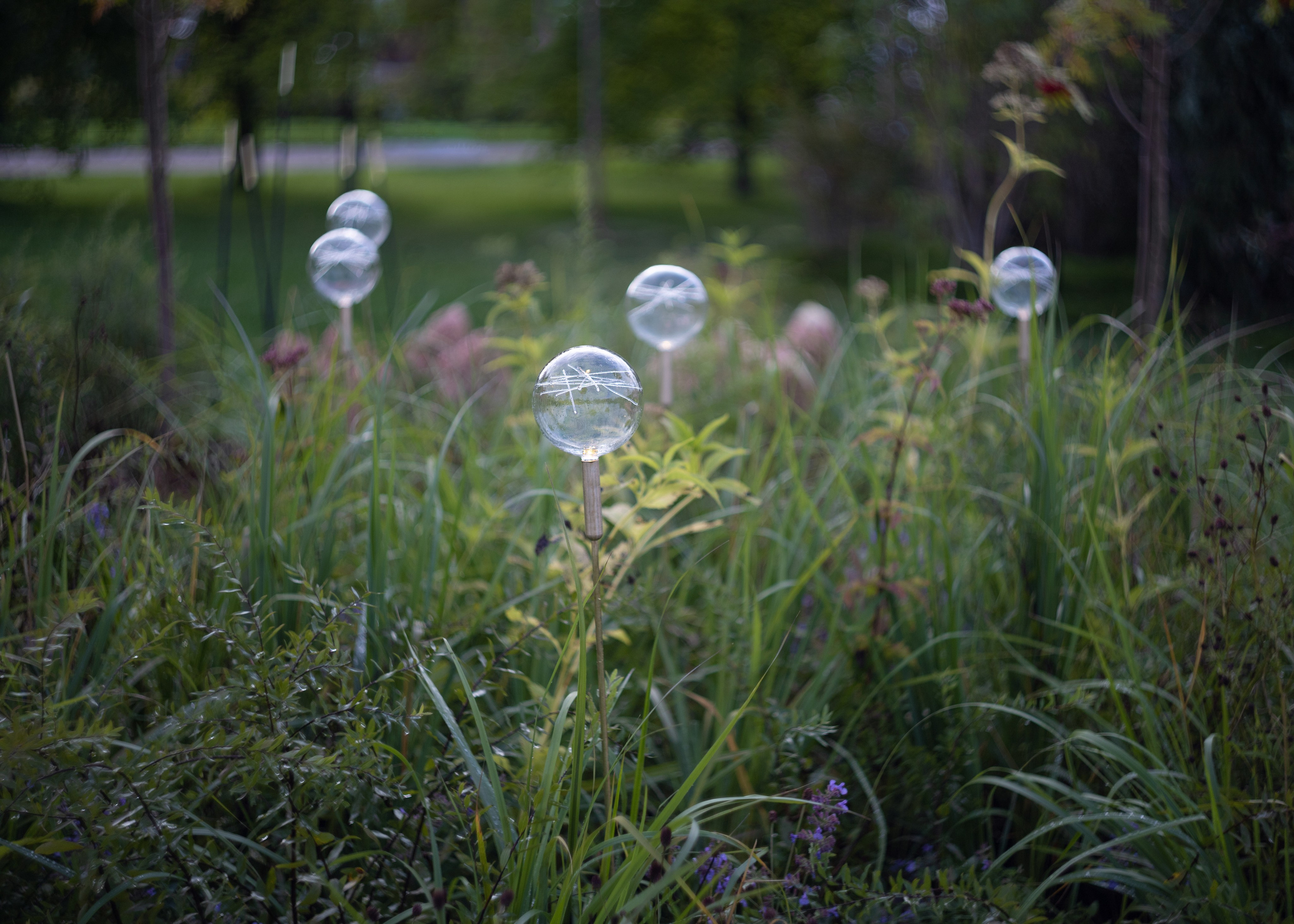 Декоративный ландшафтный свет TEMPARIUM. Фотограф Наталья Молчанова