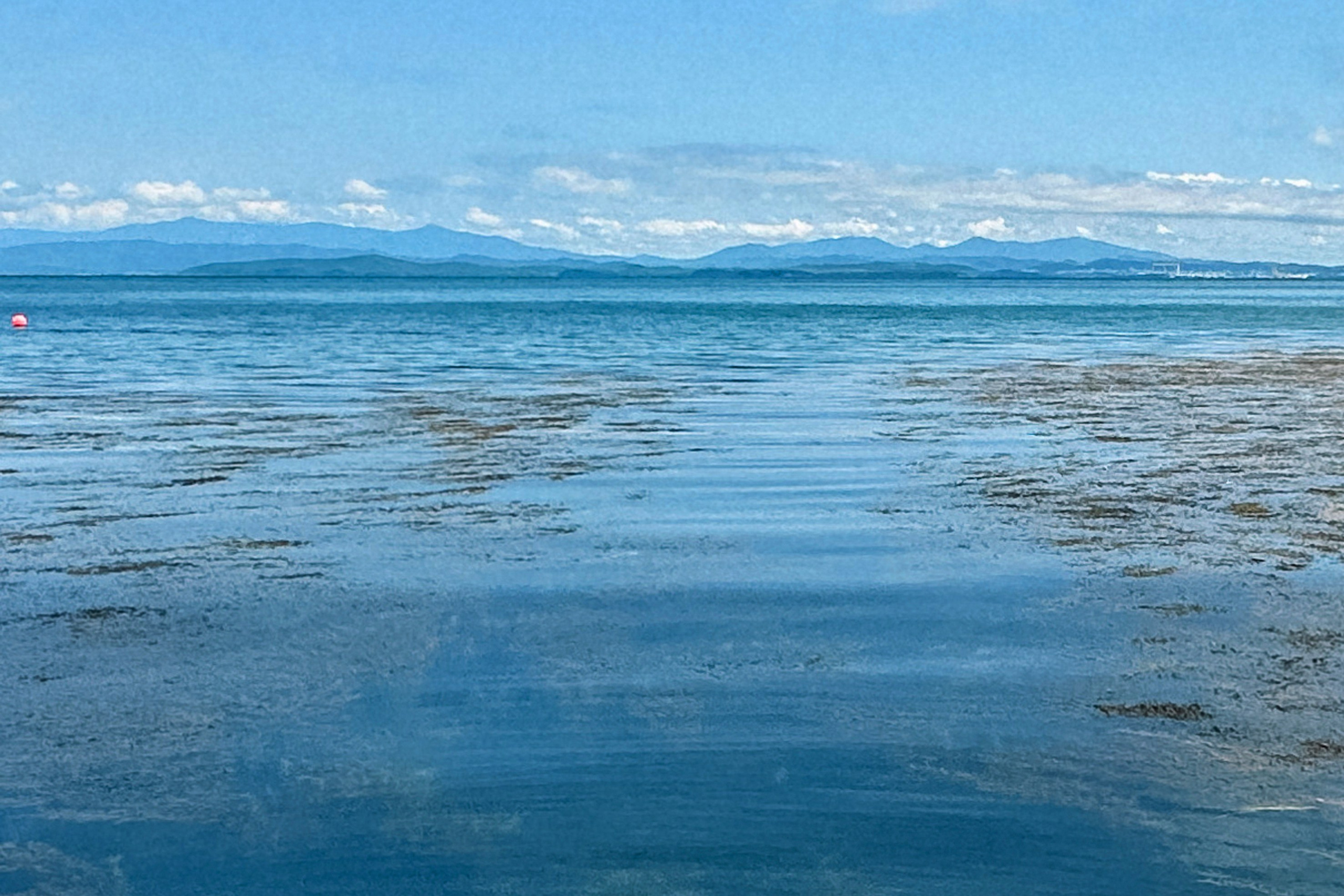 Природа. Команда фотографов Кристины Ивановой