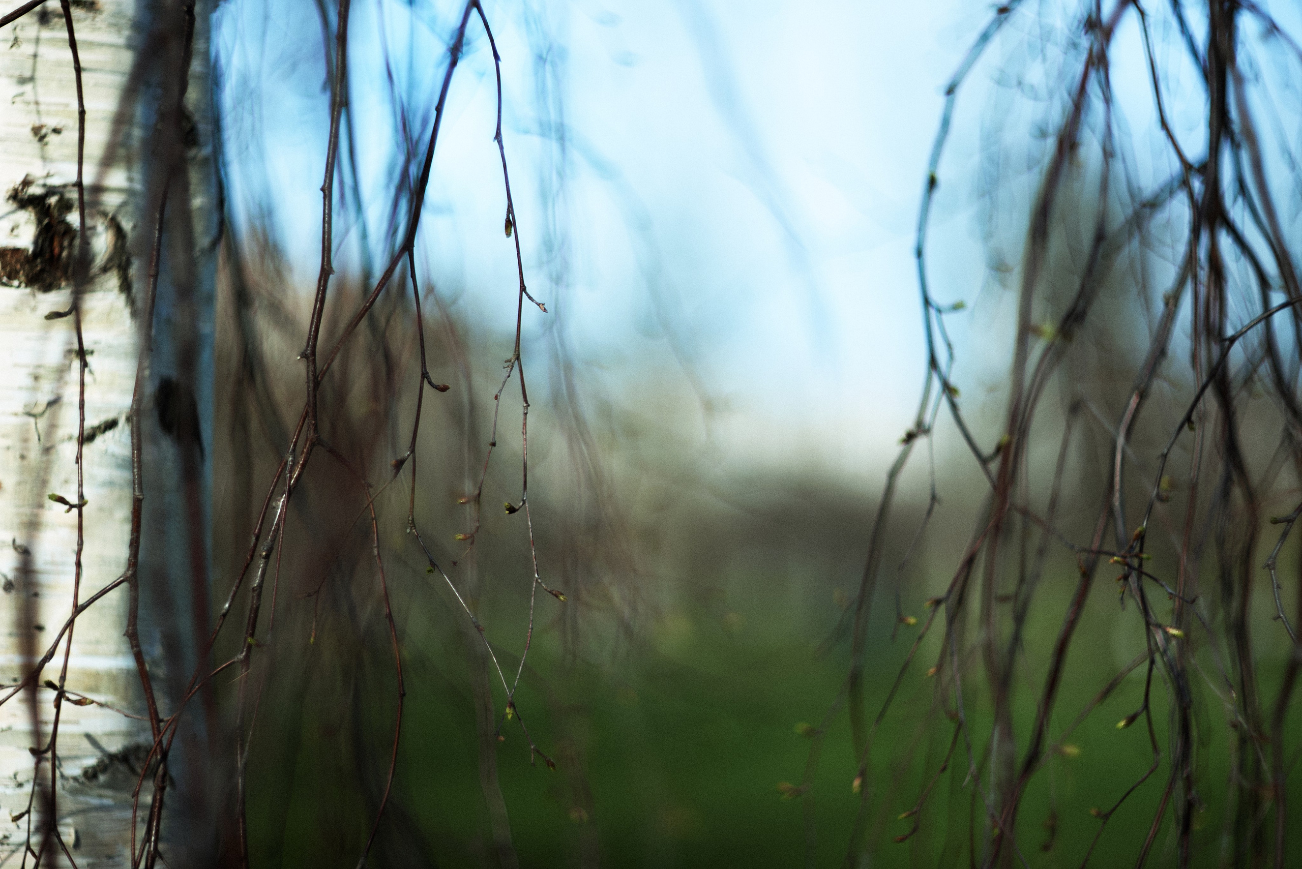 L19. Свадебный фотограф Санкт-Петербург DanyaPhotoart