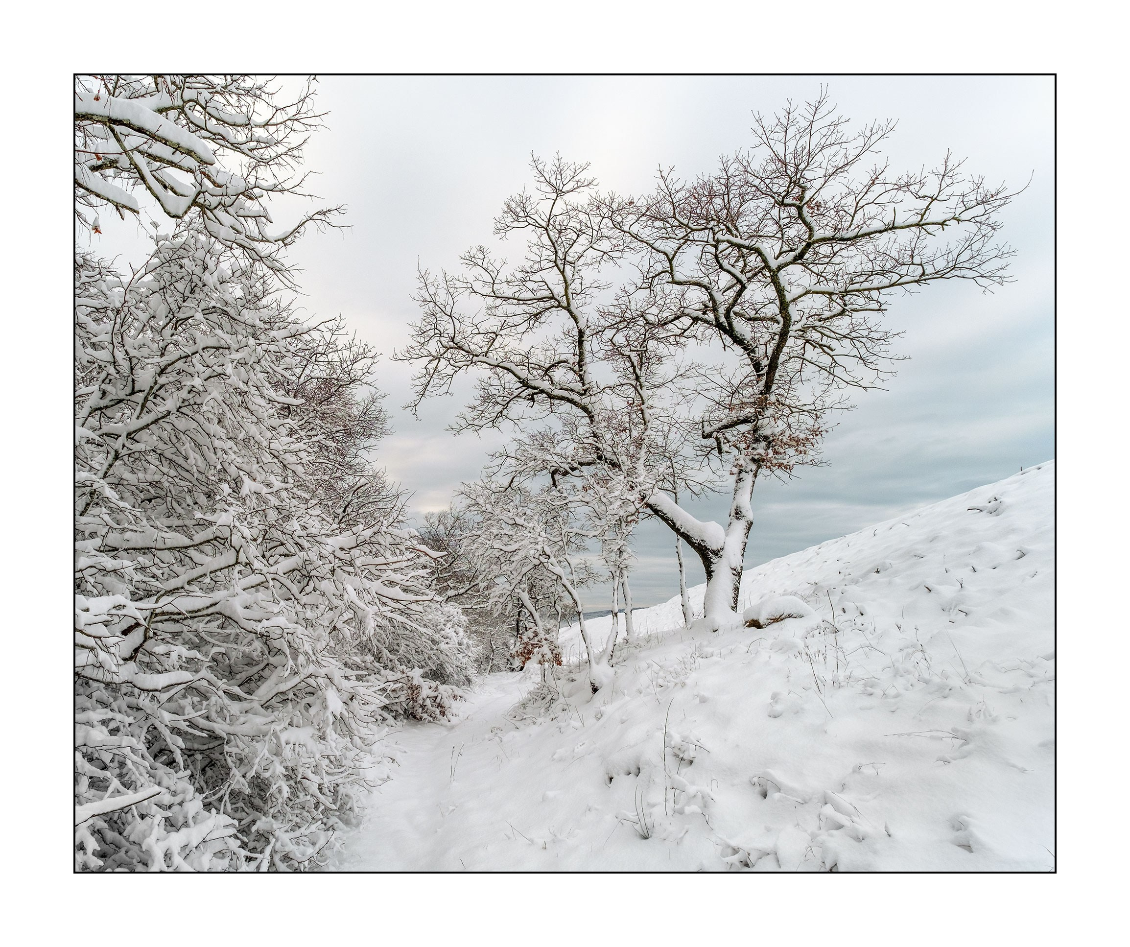 фотограф Геленджик